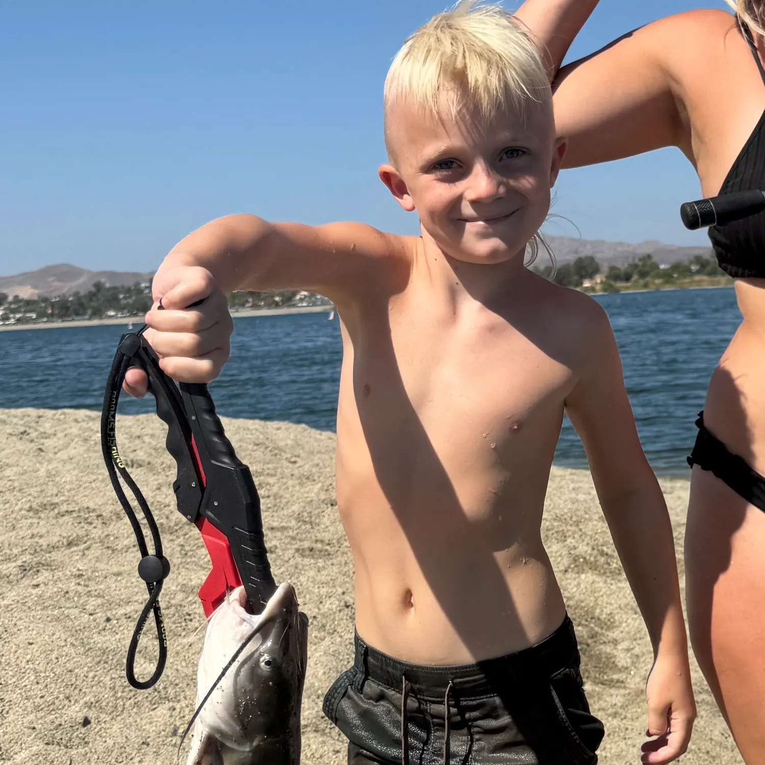 Channel catfish caught on Fishbrain