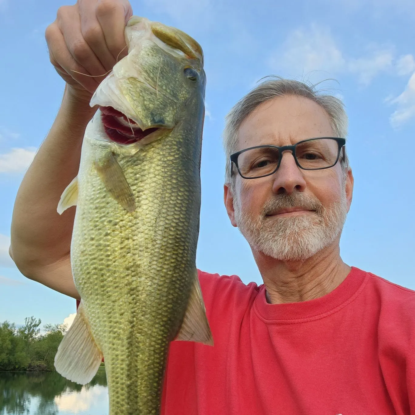 Largemouth bass caught on Fishbrain