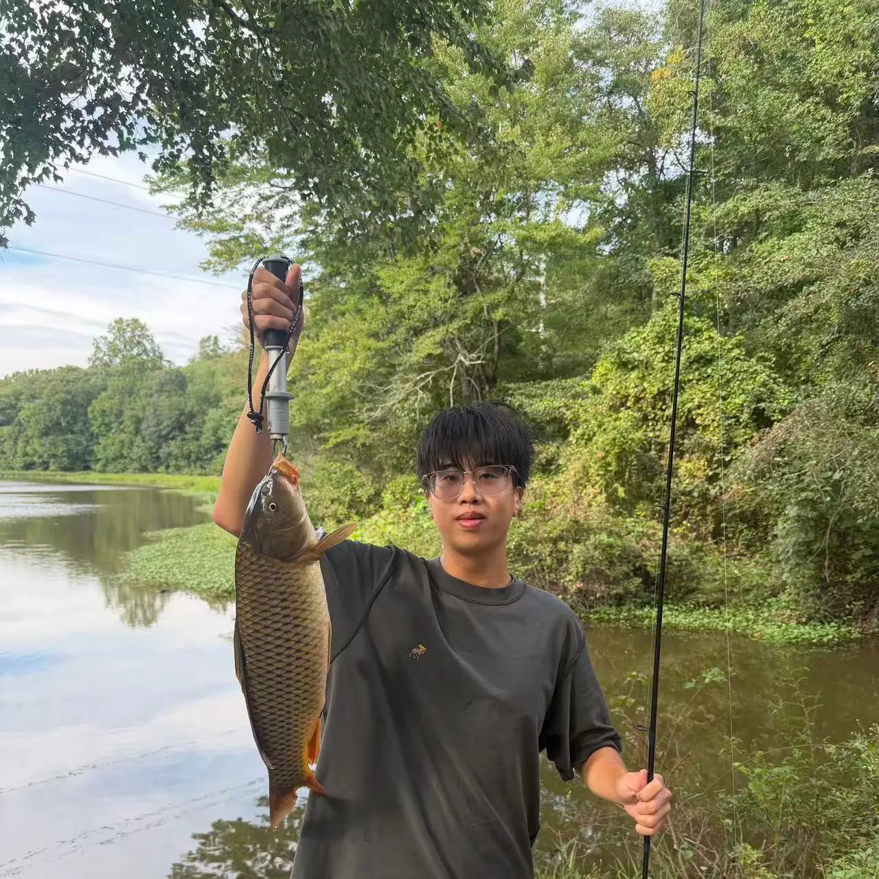 Common carp caught on Fishbrain