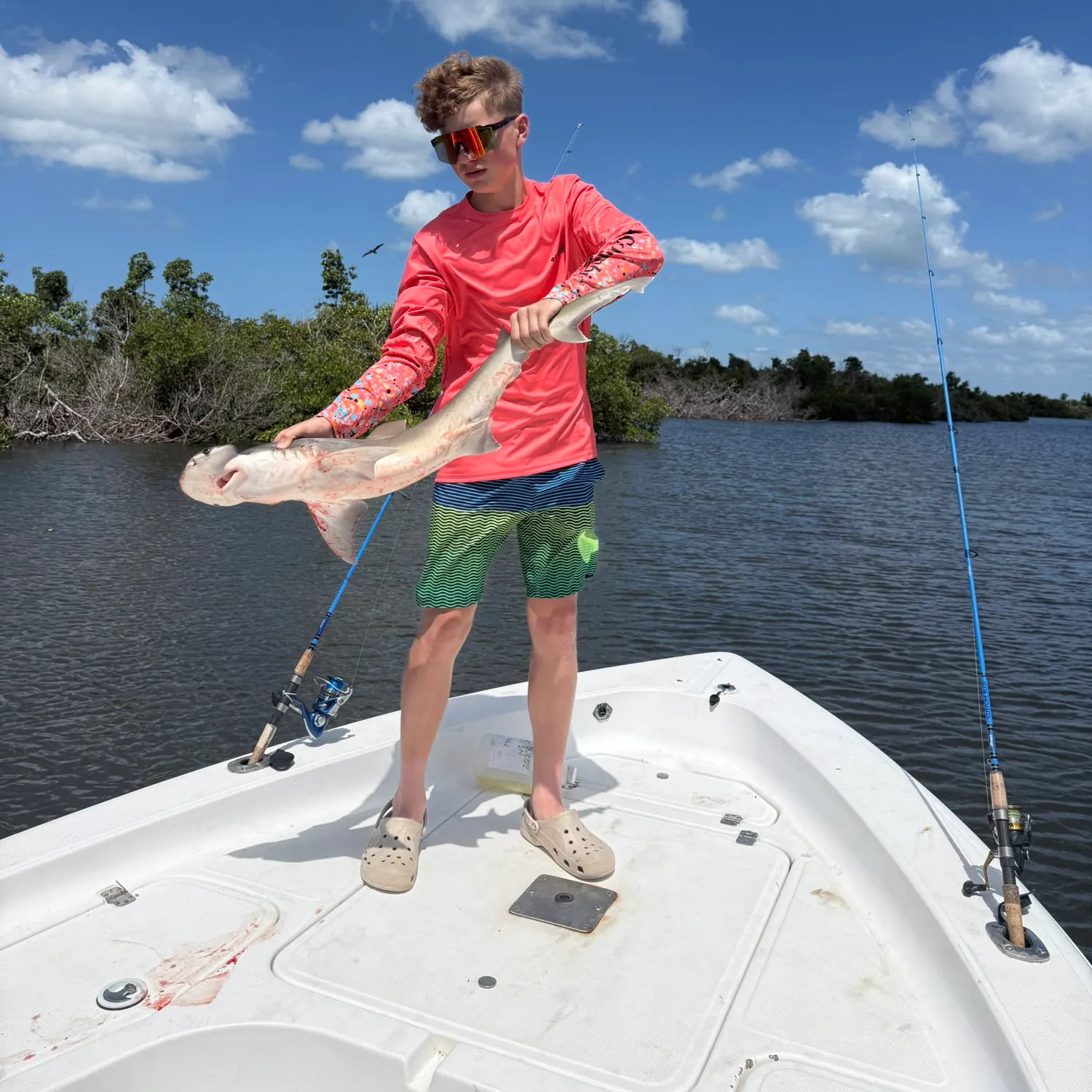 The most recent Smooth hammerhead shark catches on Fishbrain