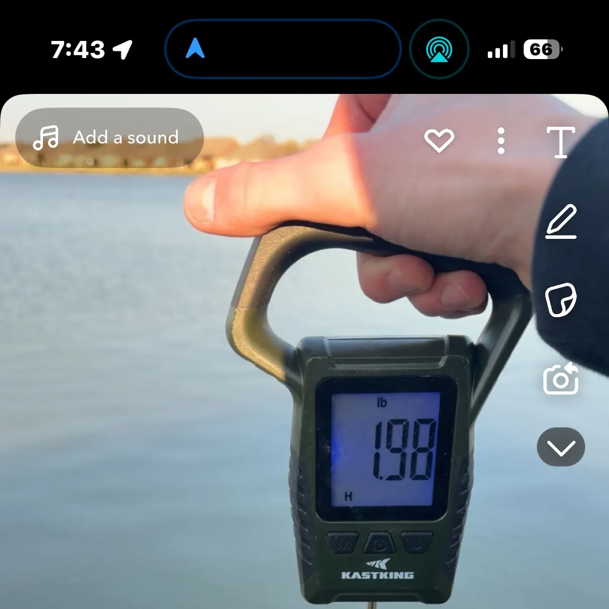 recently logged catches