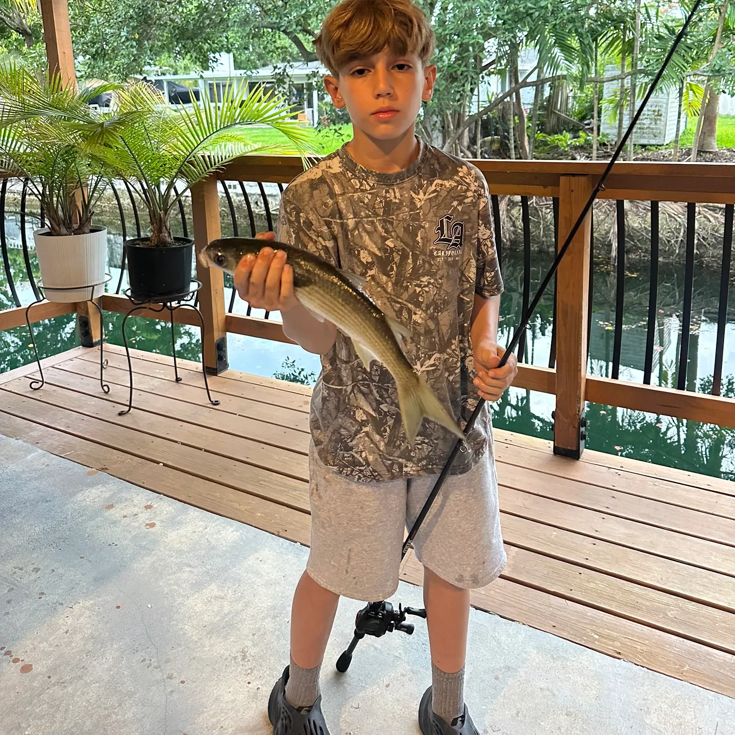 The most recent Thicklip grey mullet catches on Fishbrain