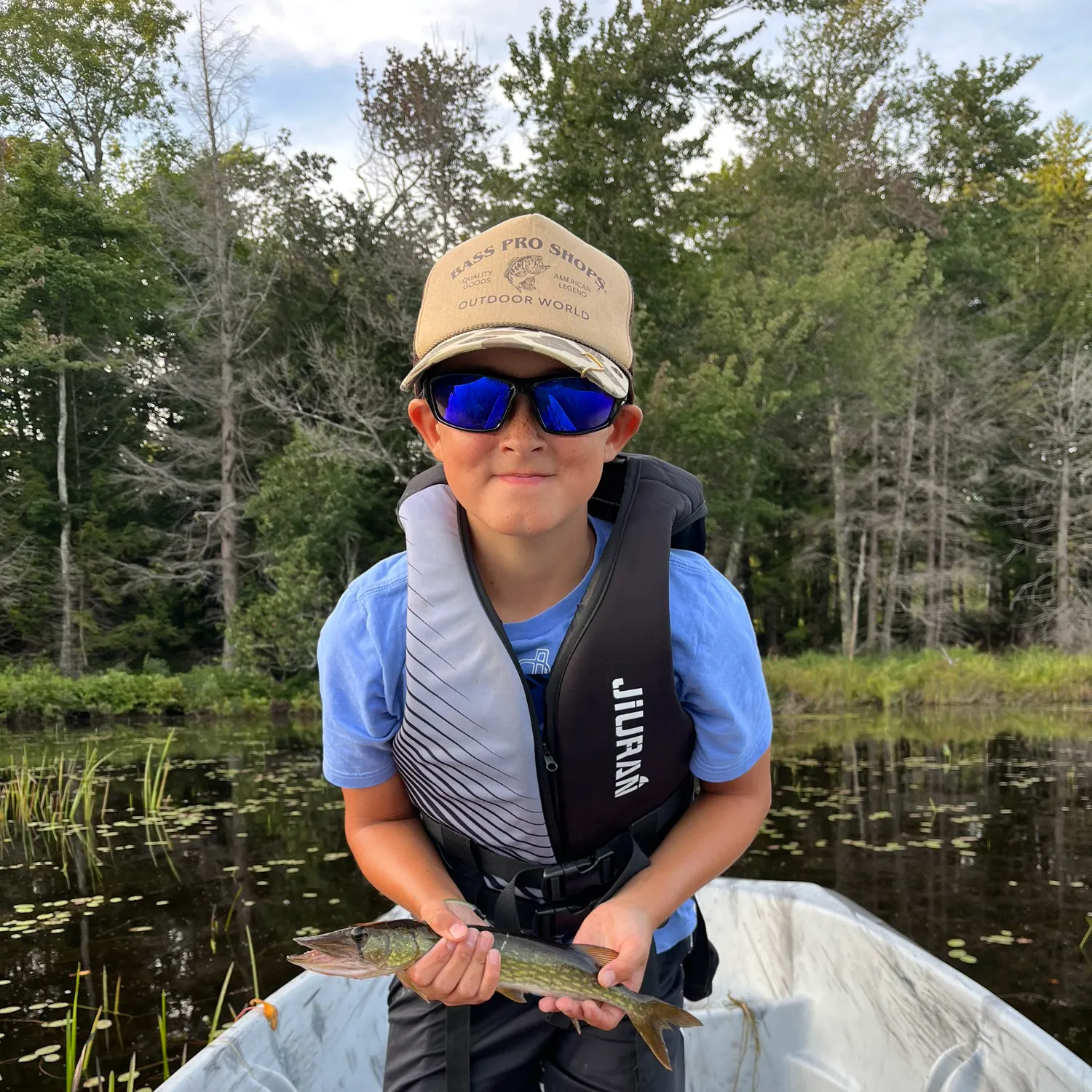 Chain pickerel caught on Fishbrain