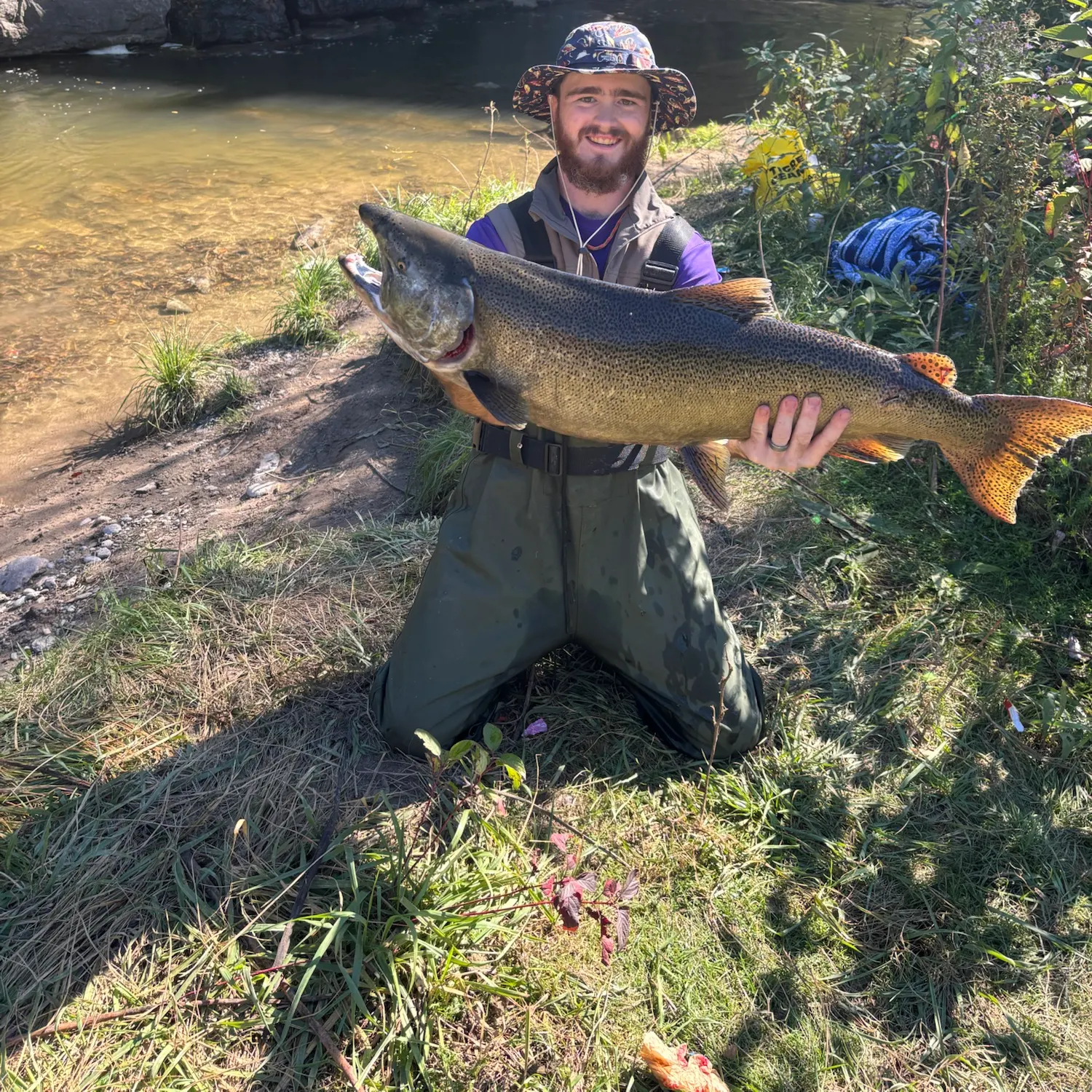 Chinook salmon caught on Fishbrain