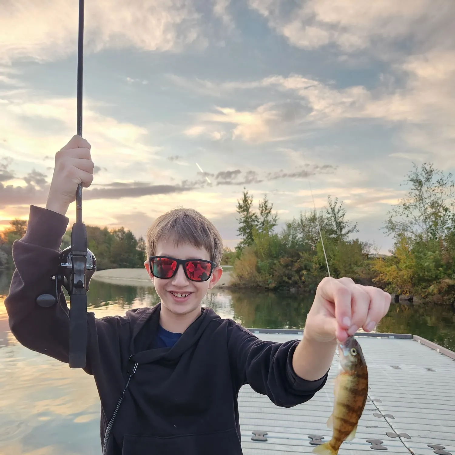 Yellow perch caught on Fishbrain