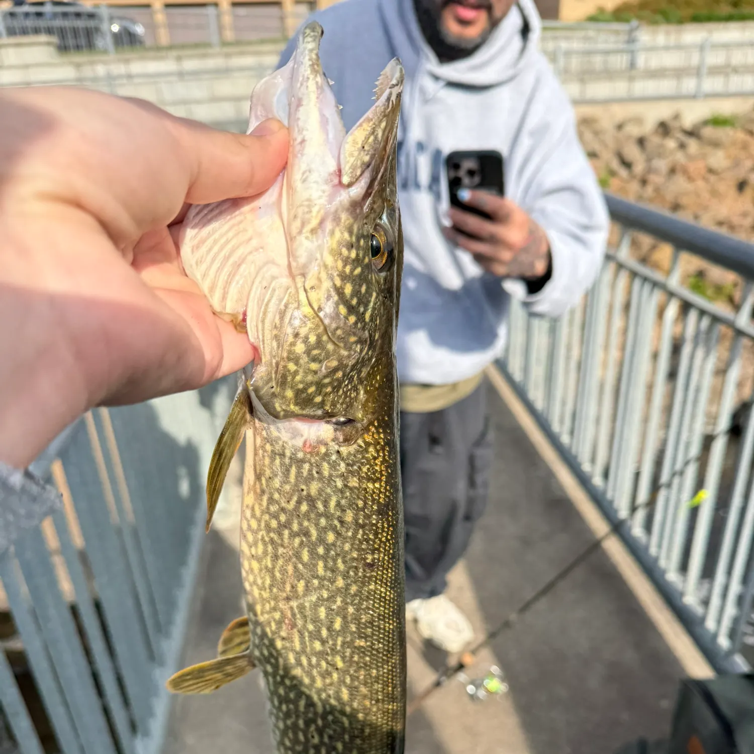 catch