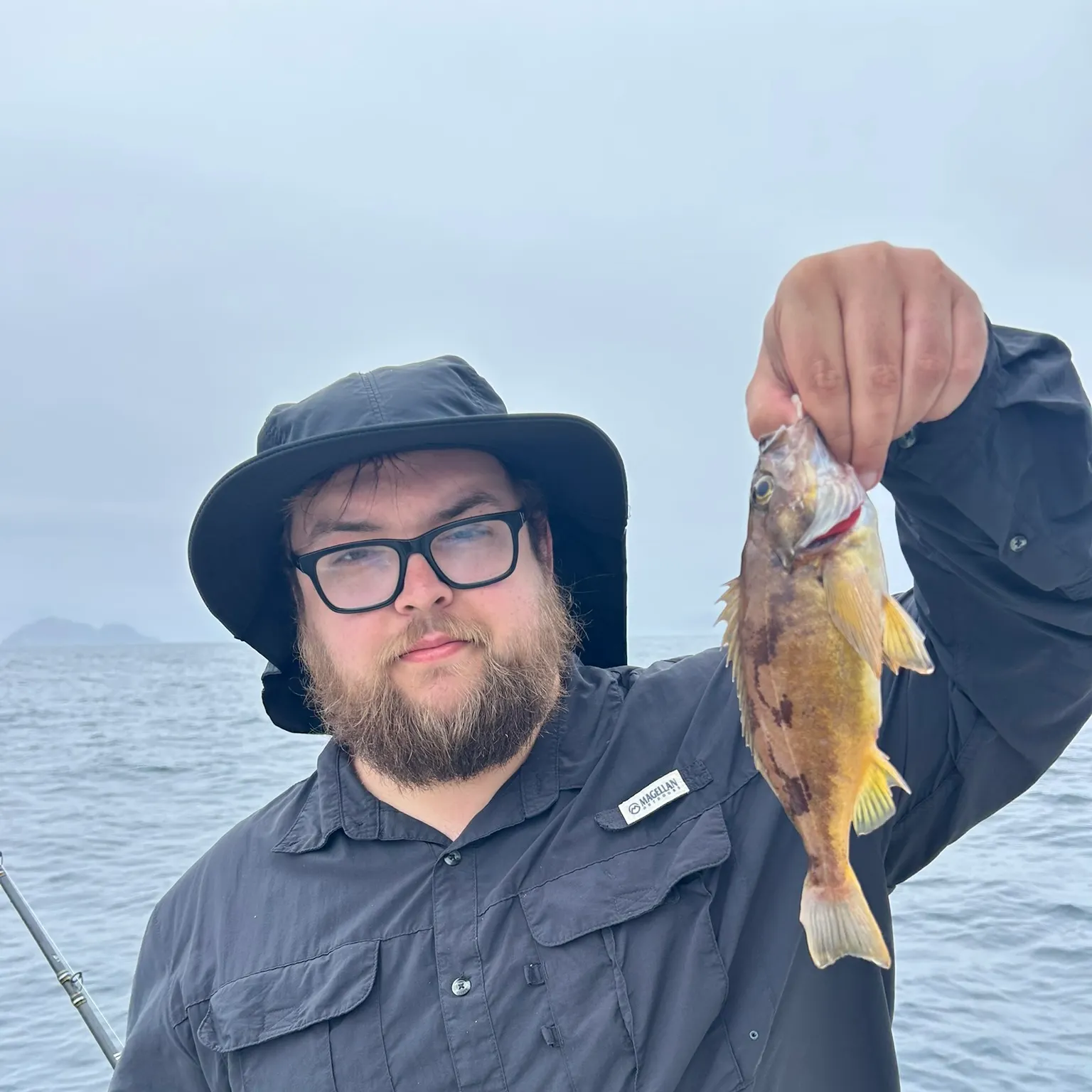 The most recent Barred sand bass catches on Fishbrain