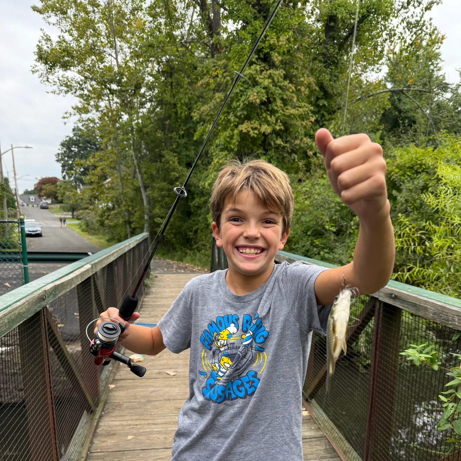 Common carp caught on Fishbrain