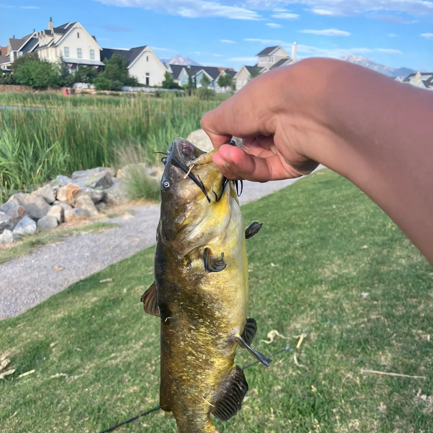 catch