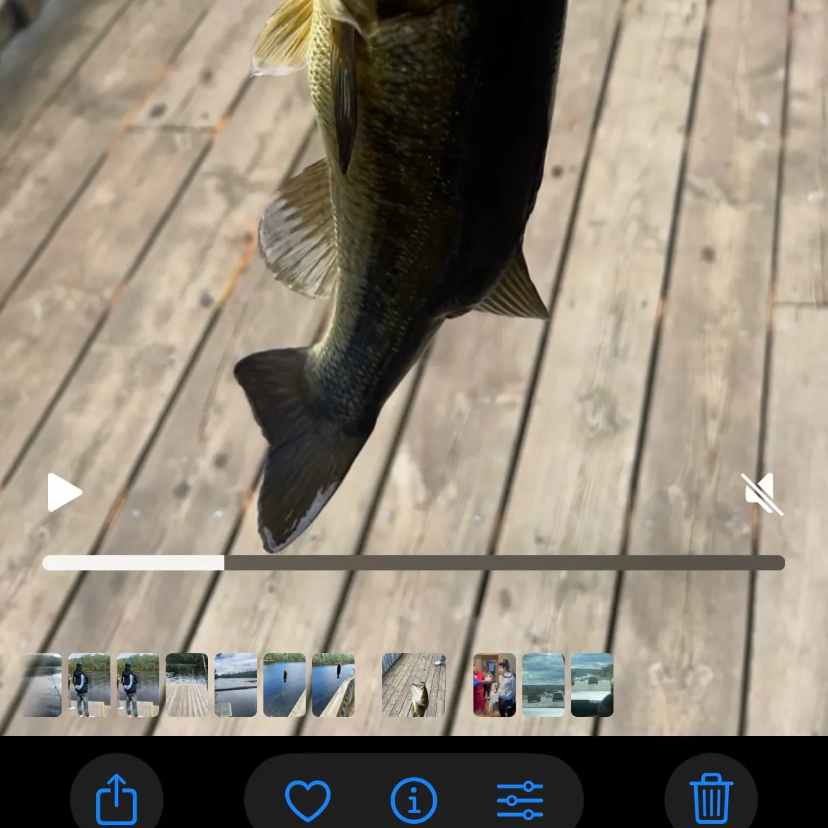 recently logged catches