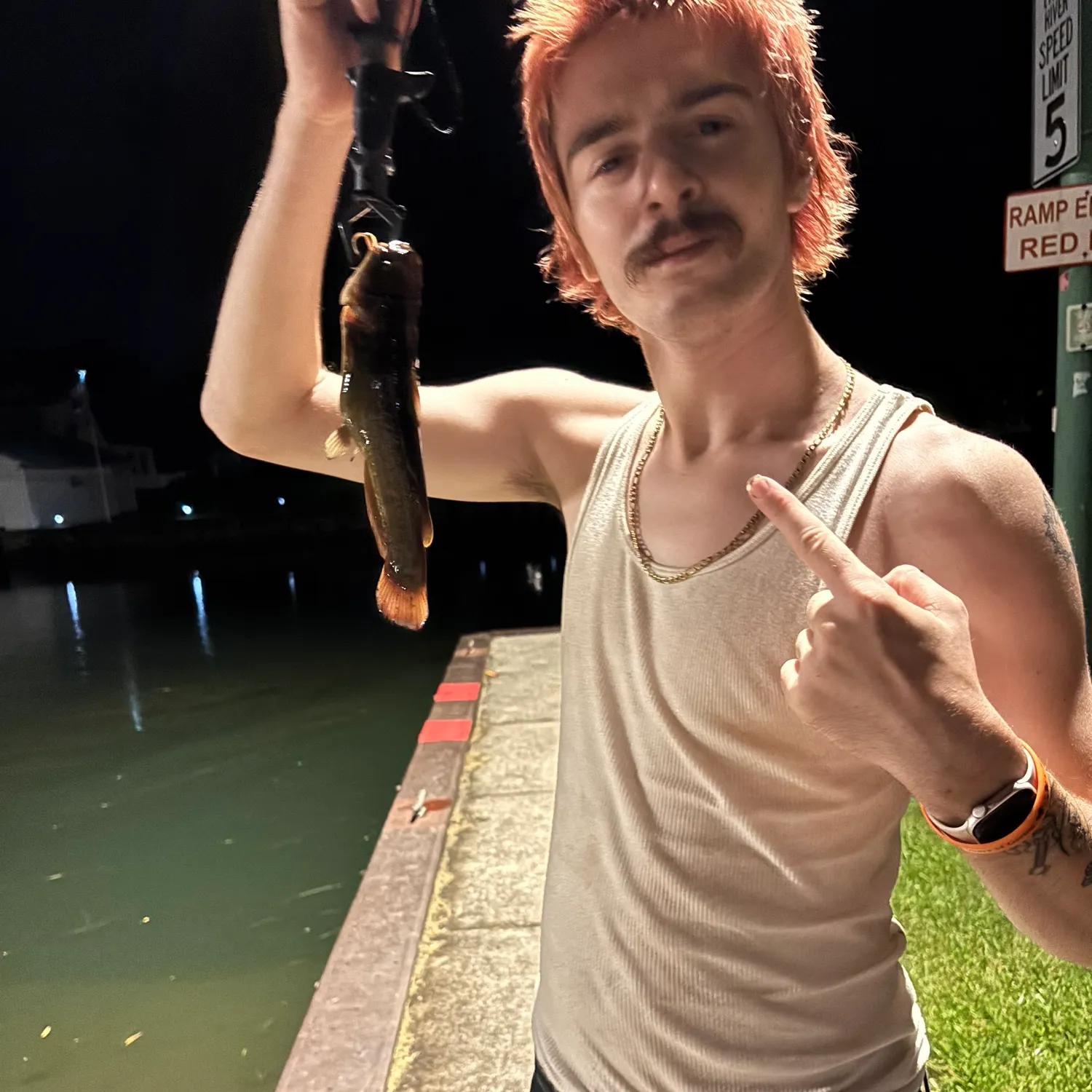 Yellow bullhead caught on Fishbrain