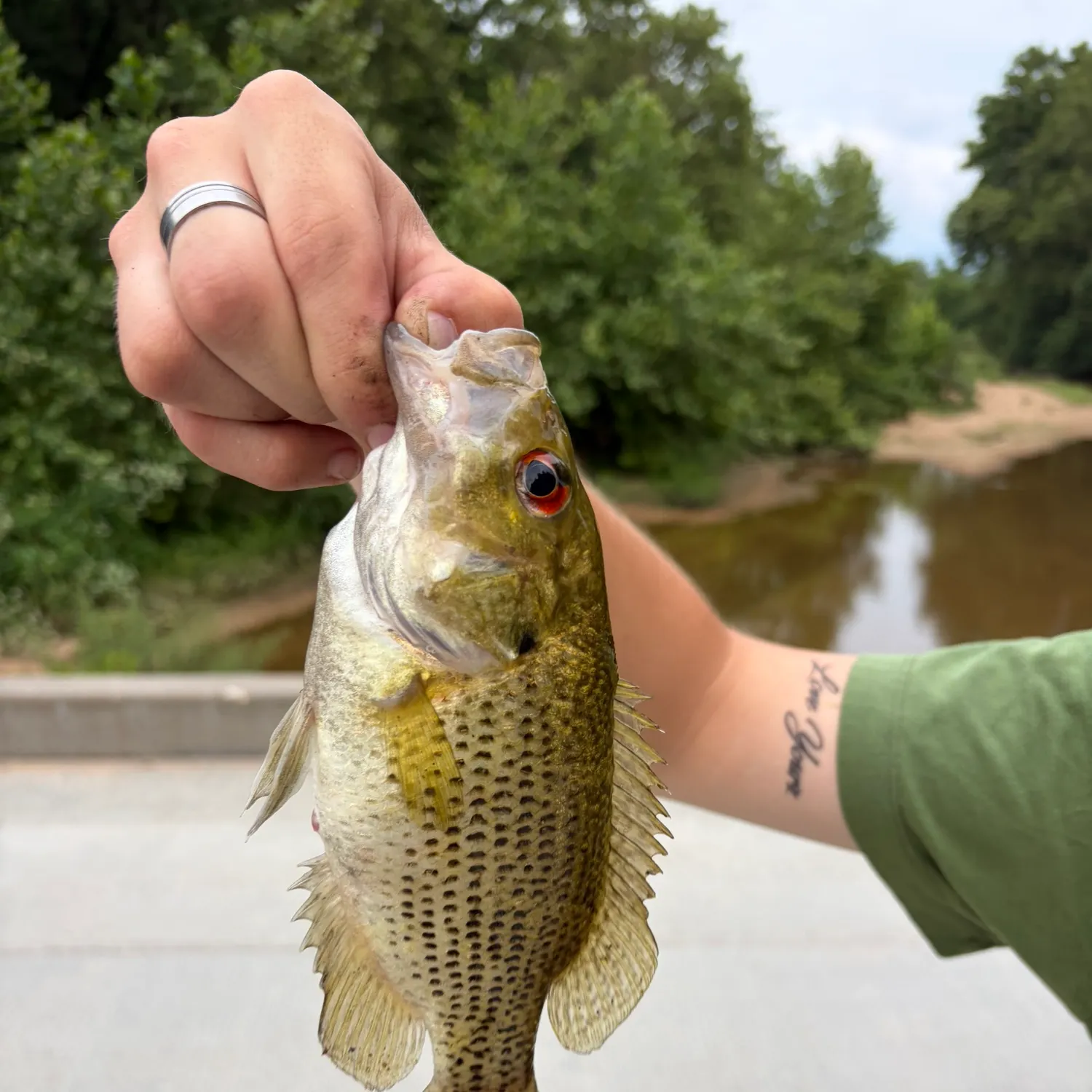 catch