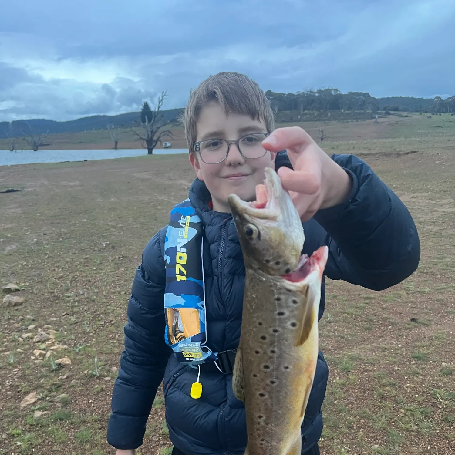 Brown trout caught on Fishbrain