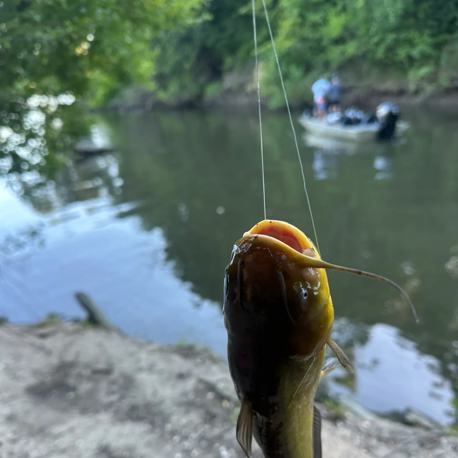 catch