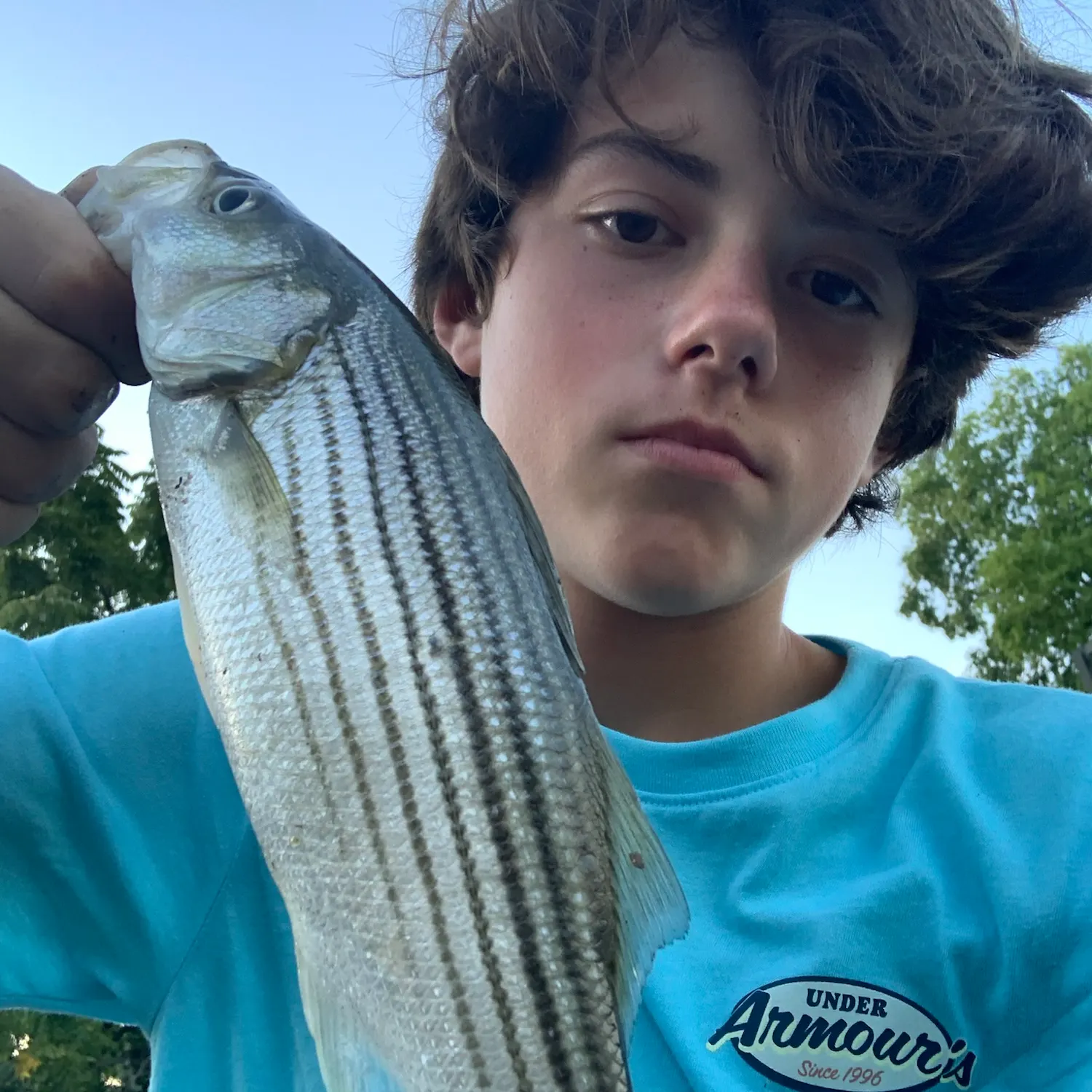 Striped bass caught on Fishbrain