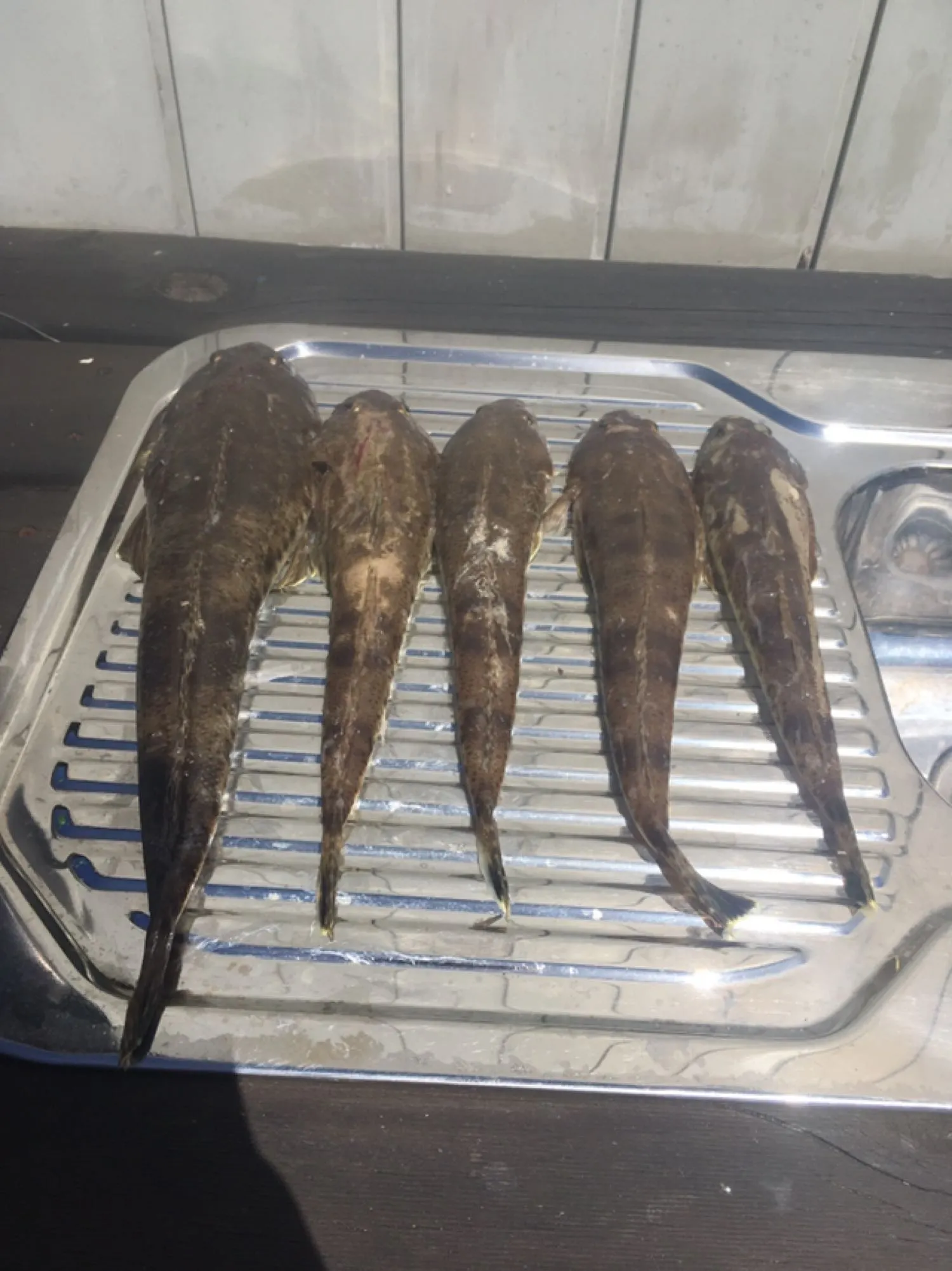 Post image from toliver2813