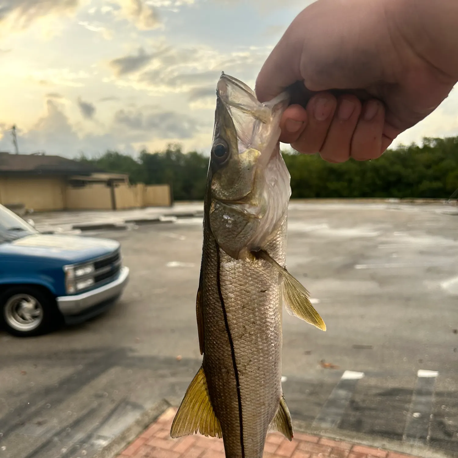 catch