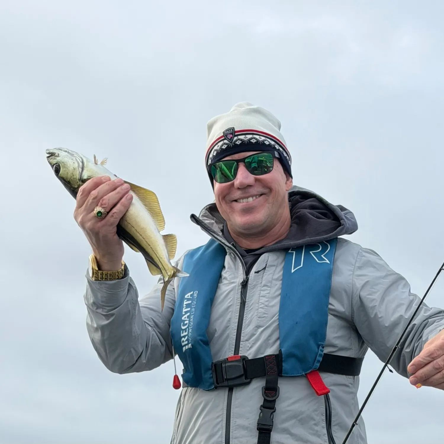 Pollack caught on Fishbrain