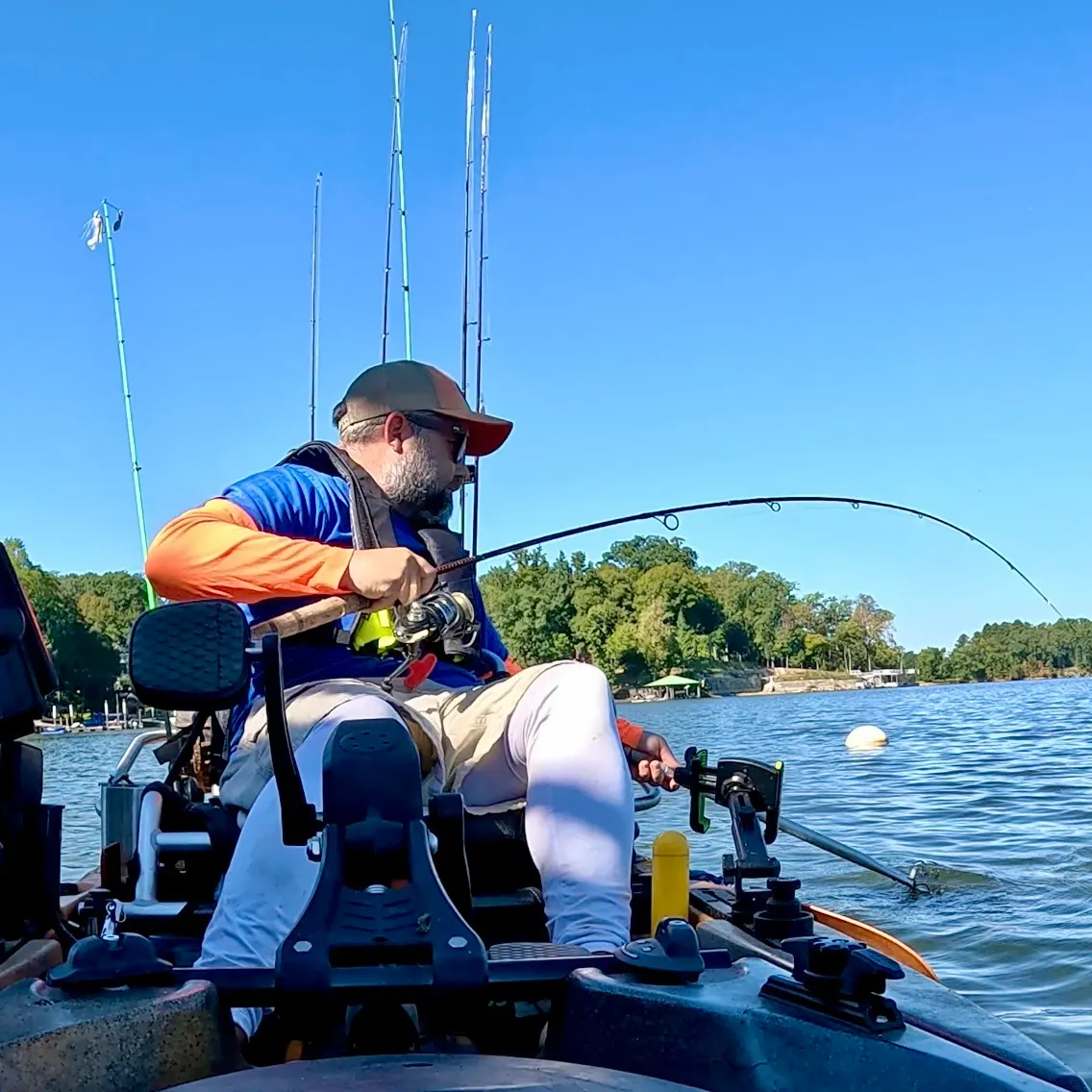 Spotted bass caught on Fishbrain