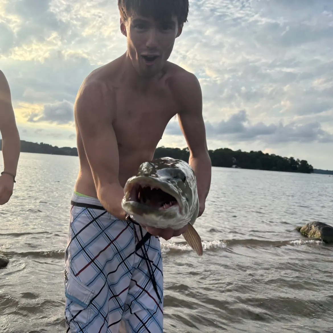 Northern pike caught on Fishbrain