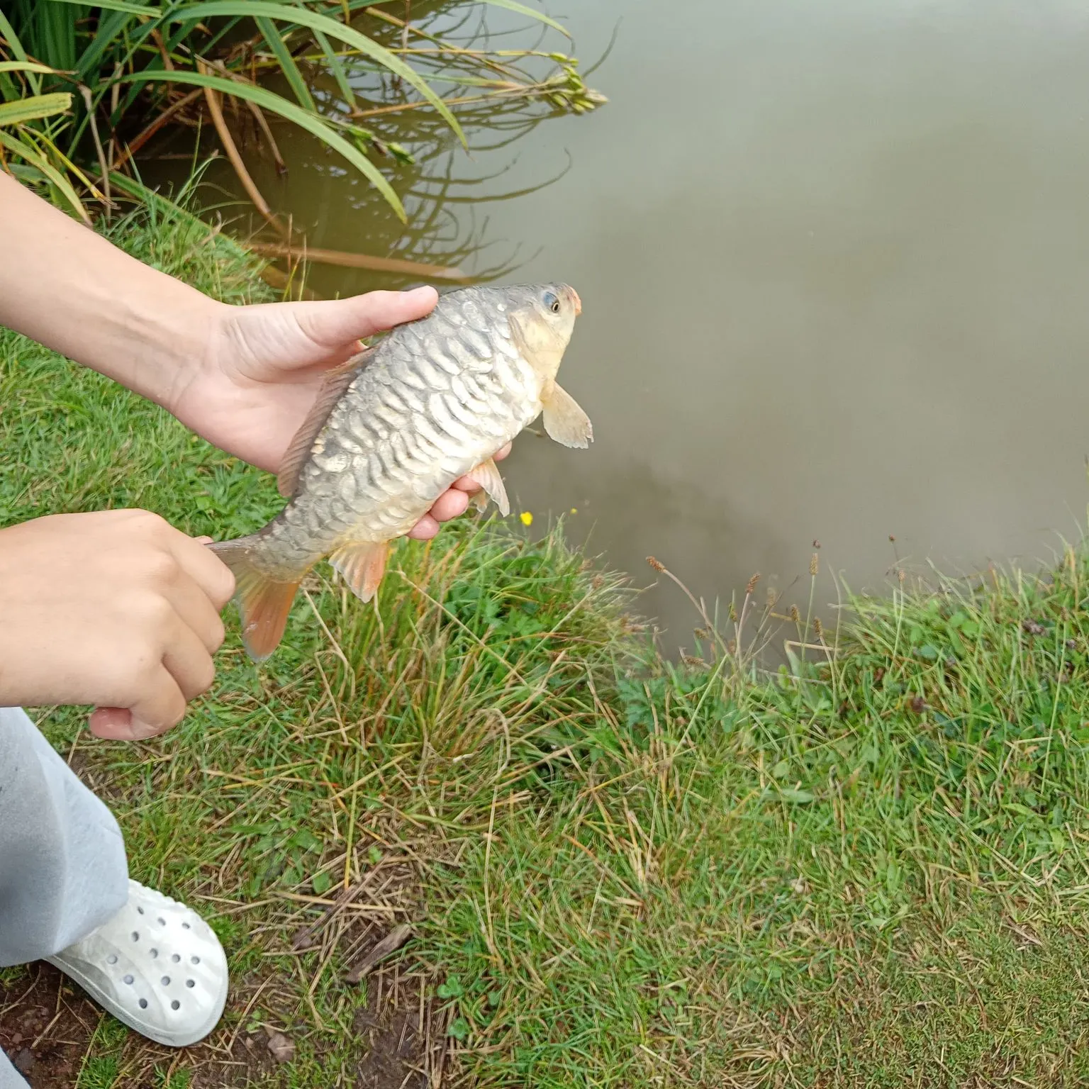 Fish caught on Fishbrain