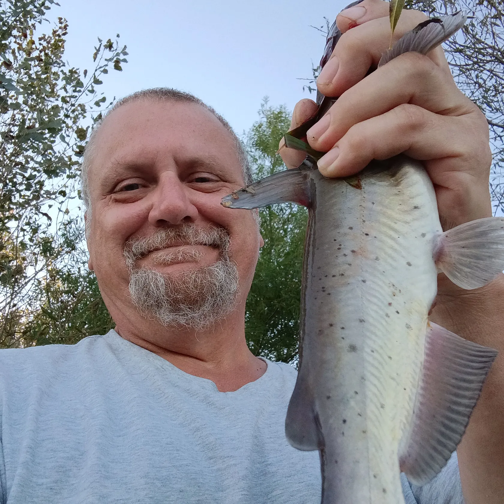 Channel catfish caught on Fishbrain