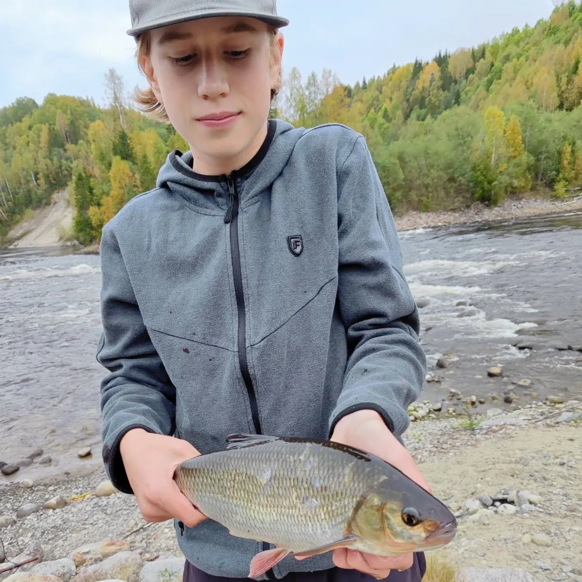 Ide caught on Fishbrain