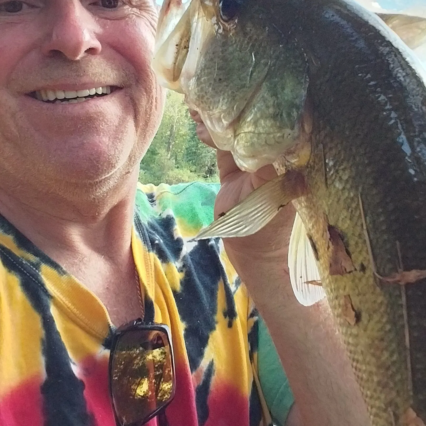 Largemouth bass caught on Fishbrain