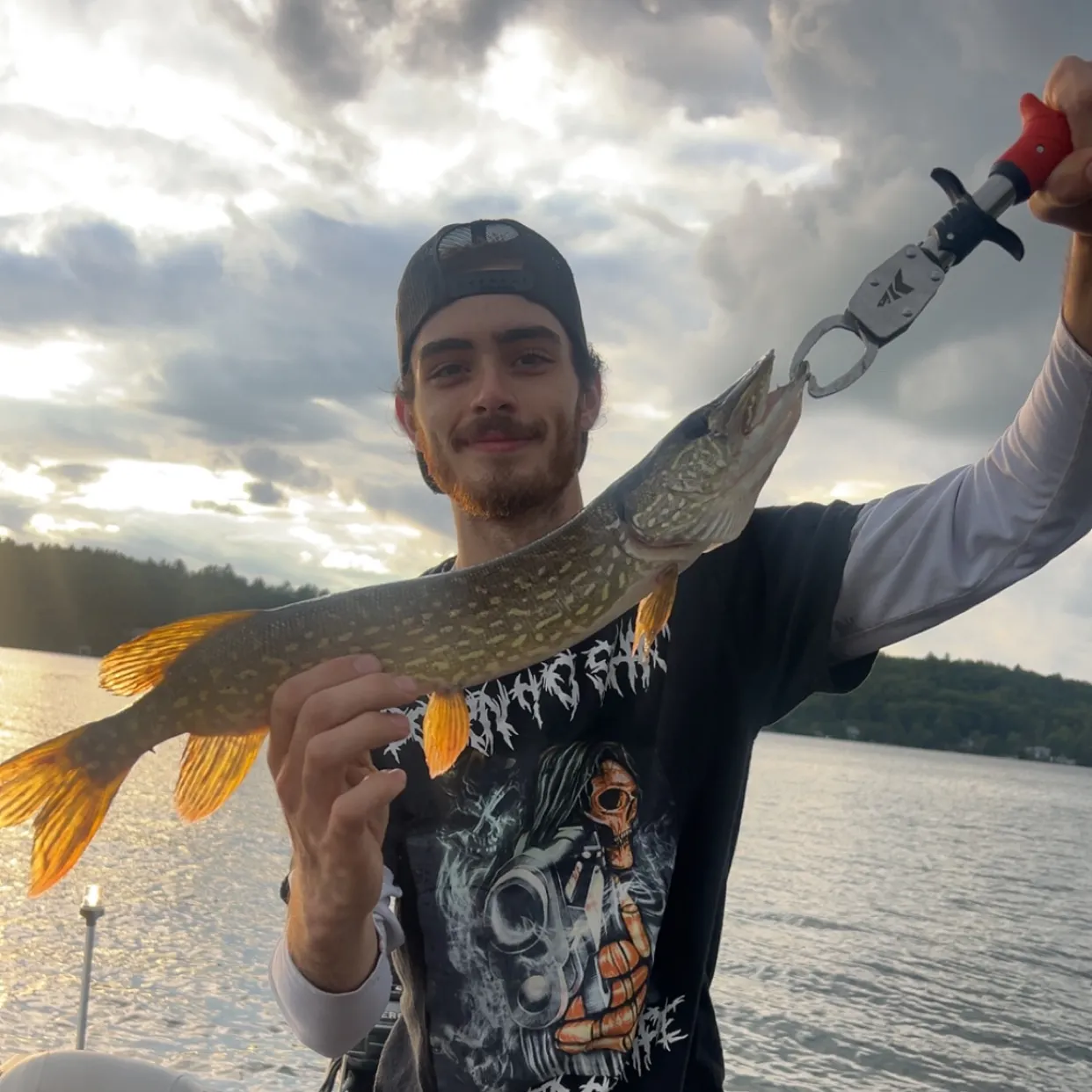 Northern pike caught on Fishbrain