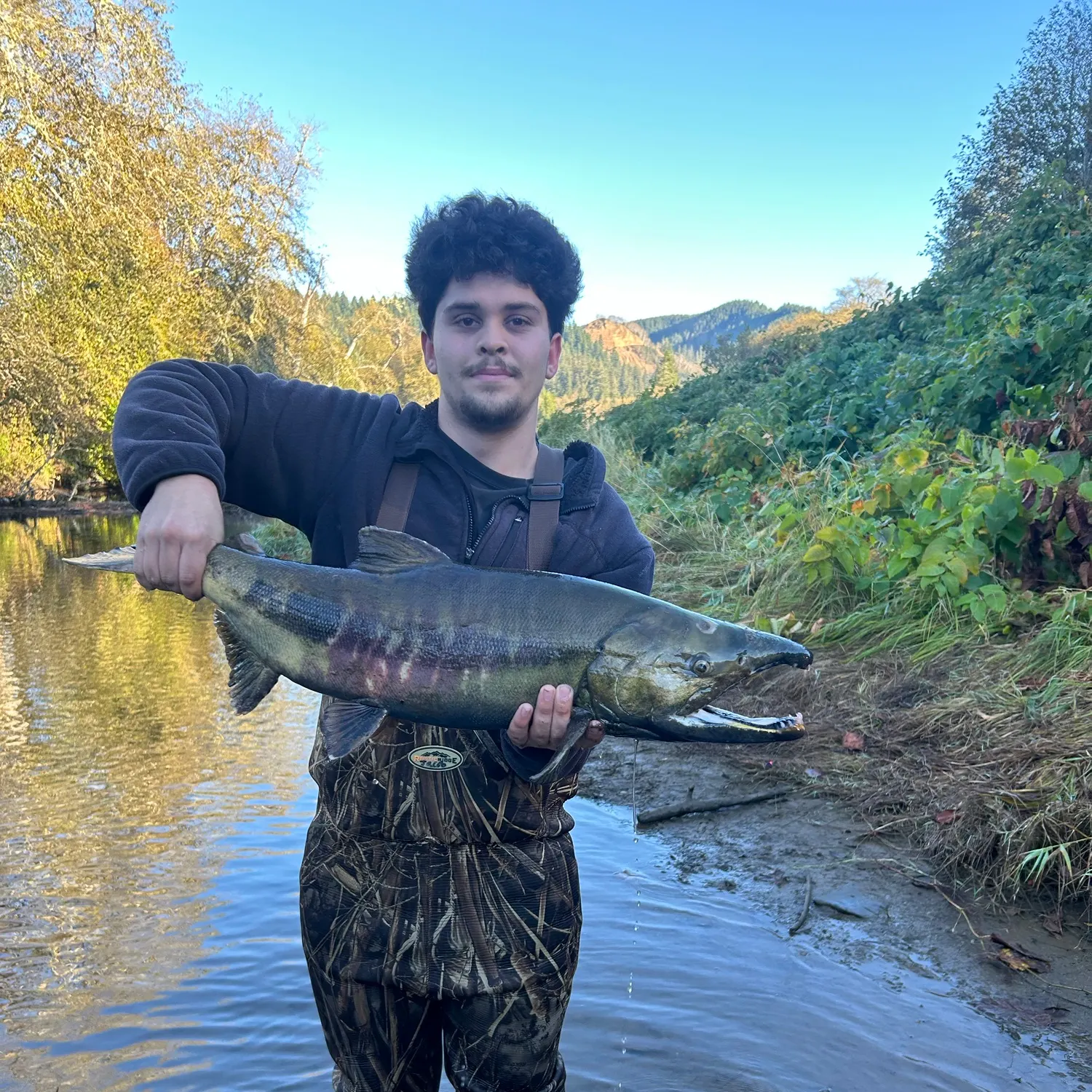 Chum salmon caught on Fishbrain