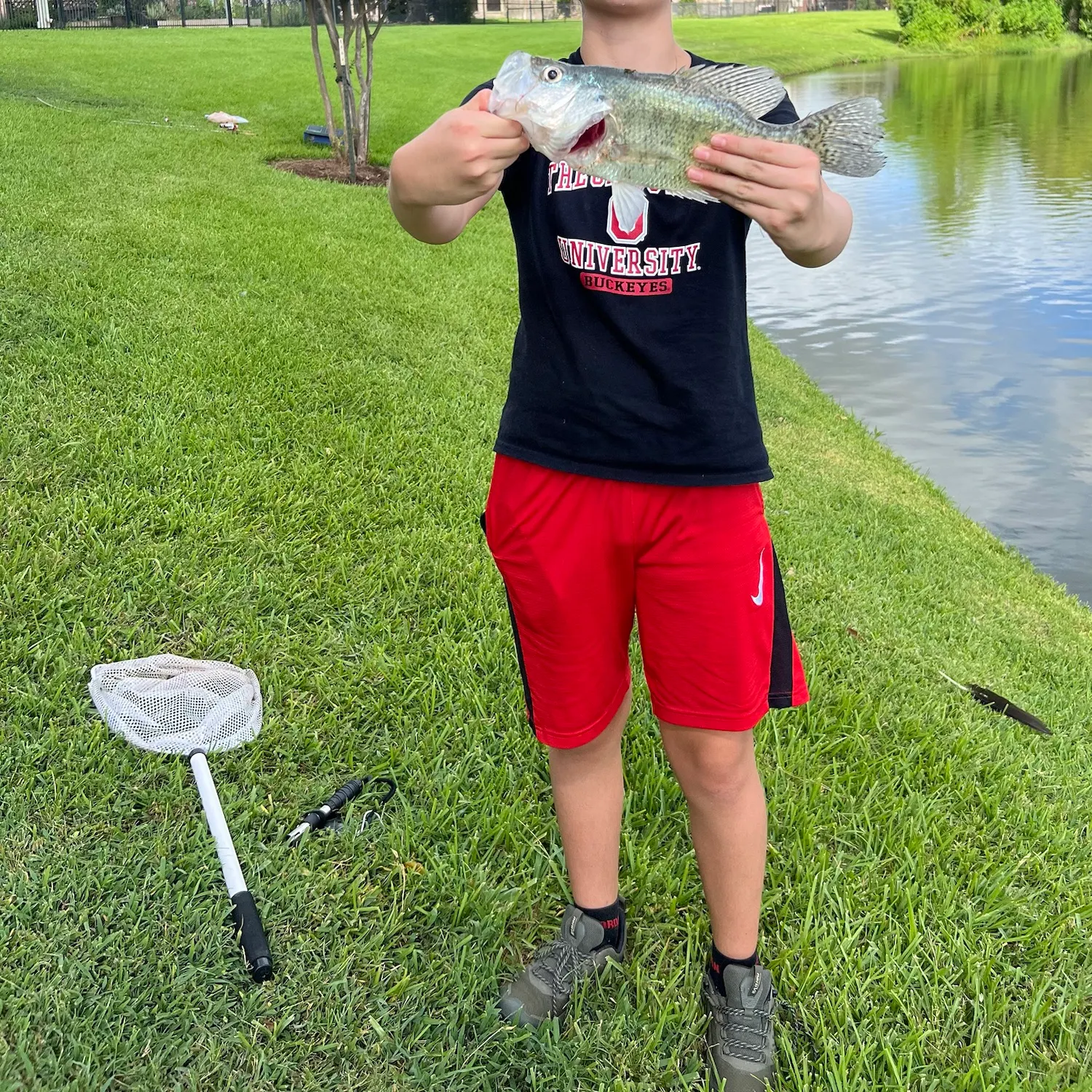 White crappie caught on Fishbrain