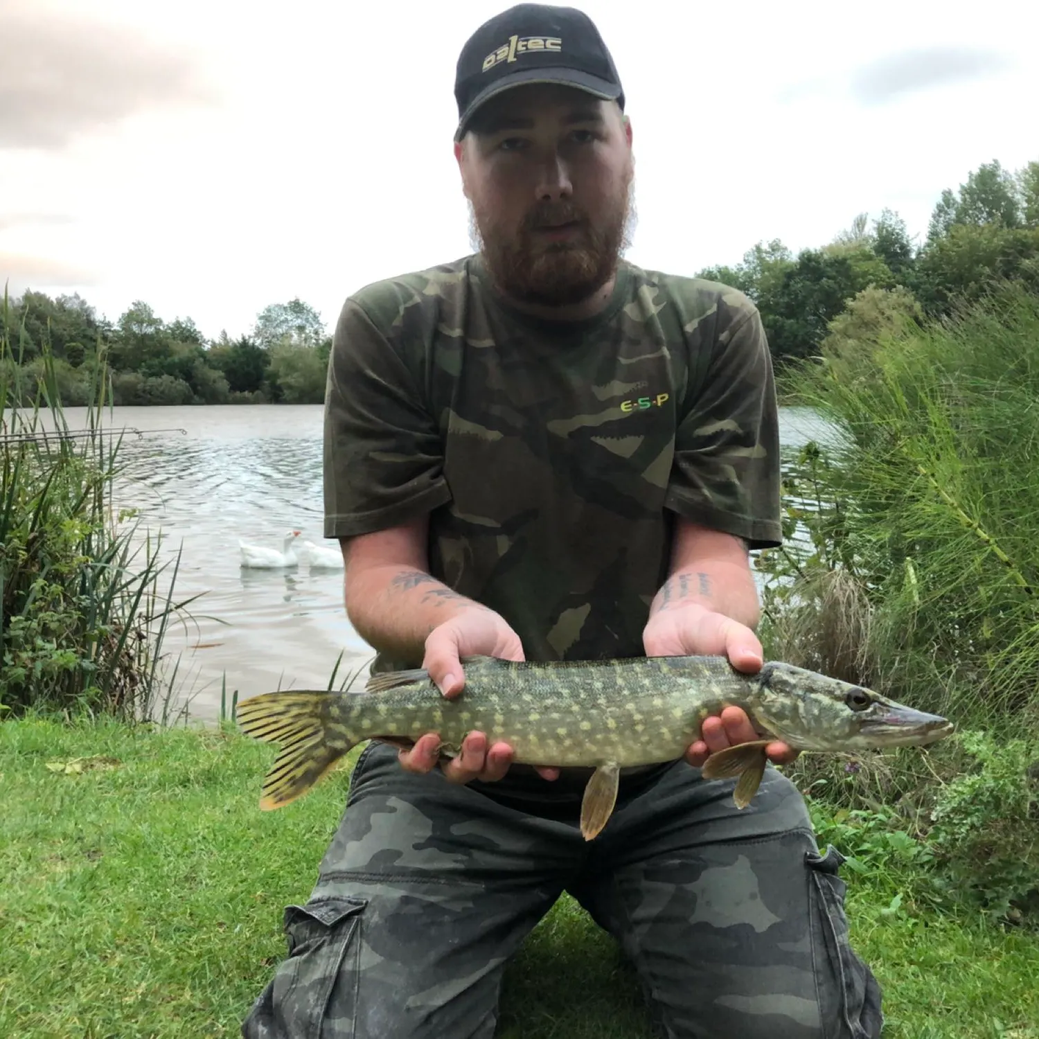 Northern pike caught on Fishbrain