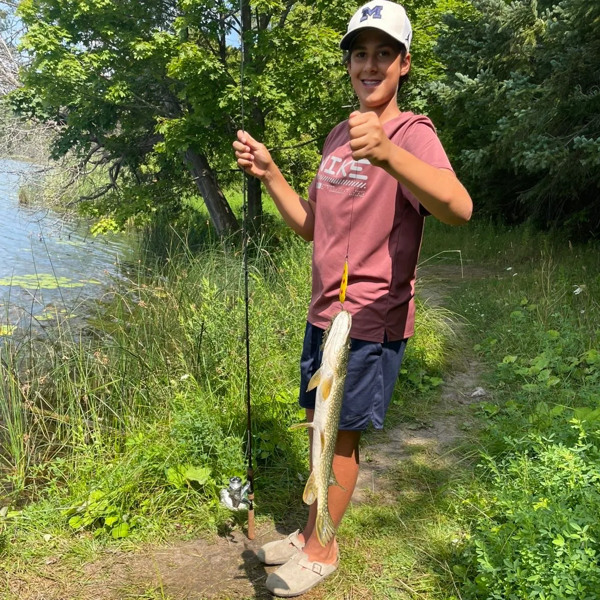 Northern pike caught on Fishbrain