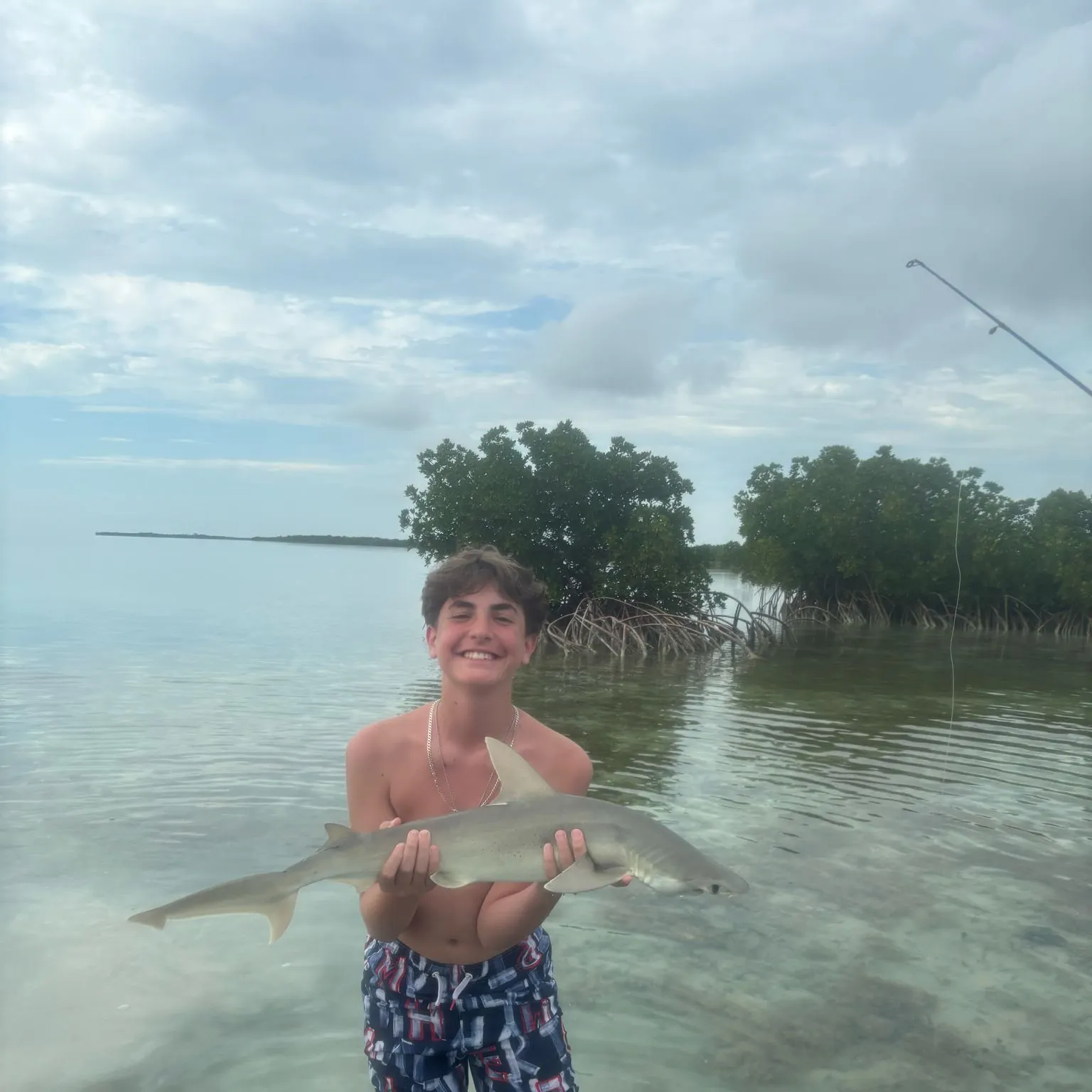 most liked catch image