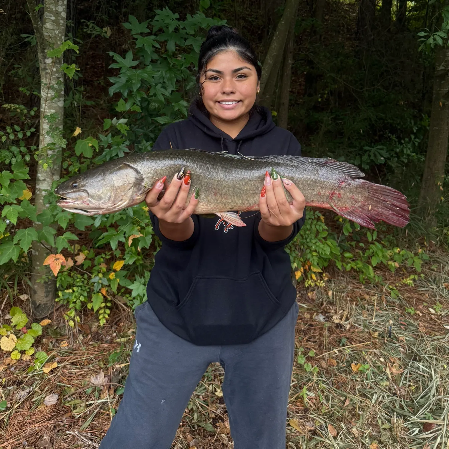 Ruddy bowfin caught on Fishbrain