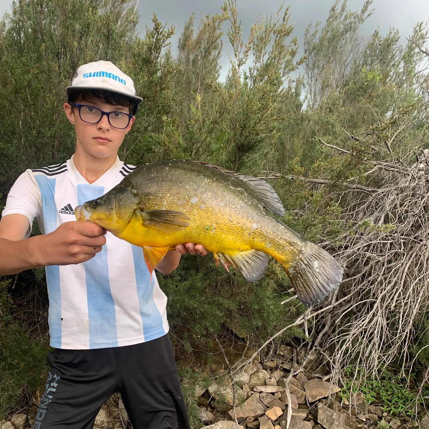 catch