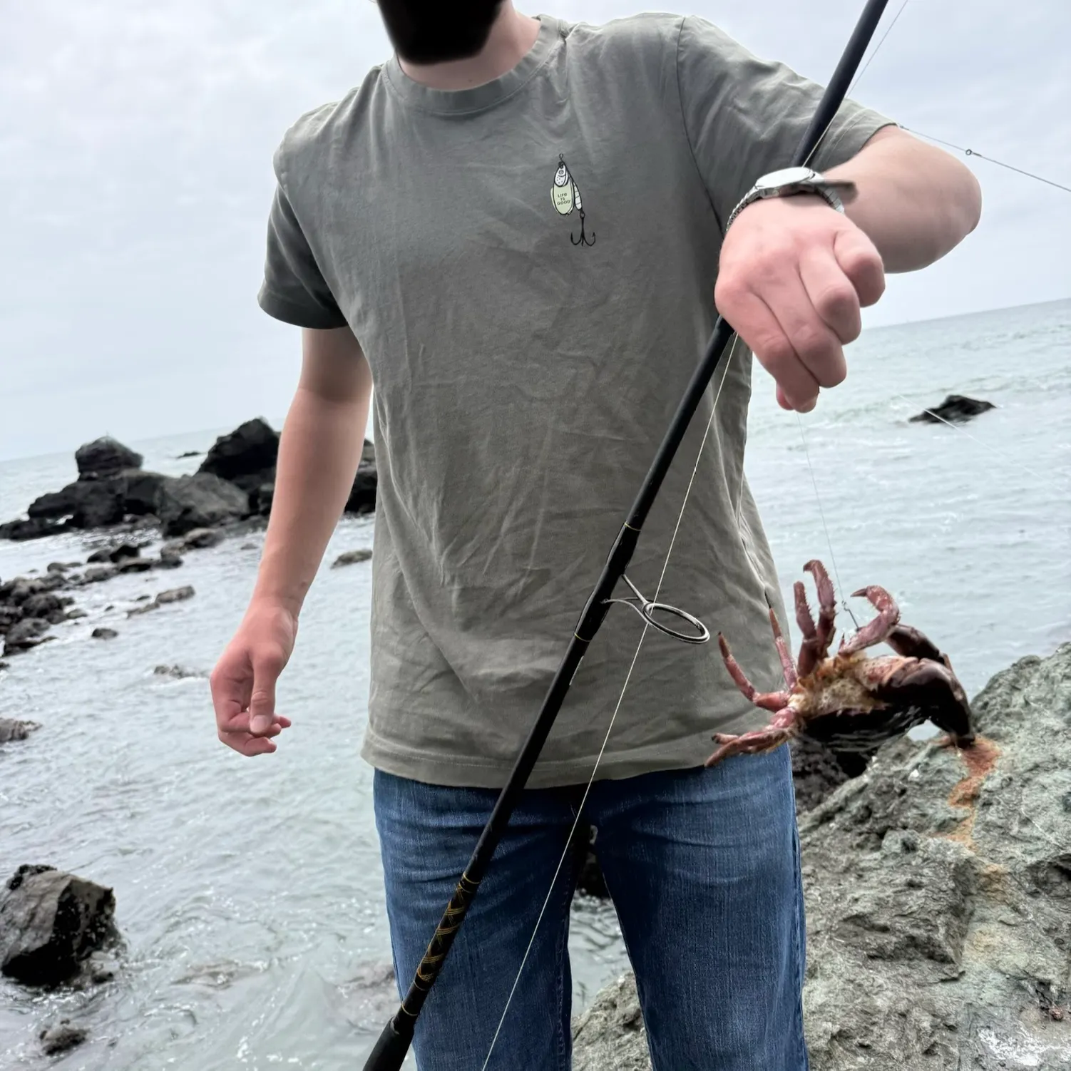 The most recent Graceful rock crab catches on Fishbrain