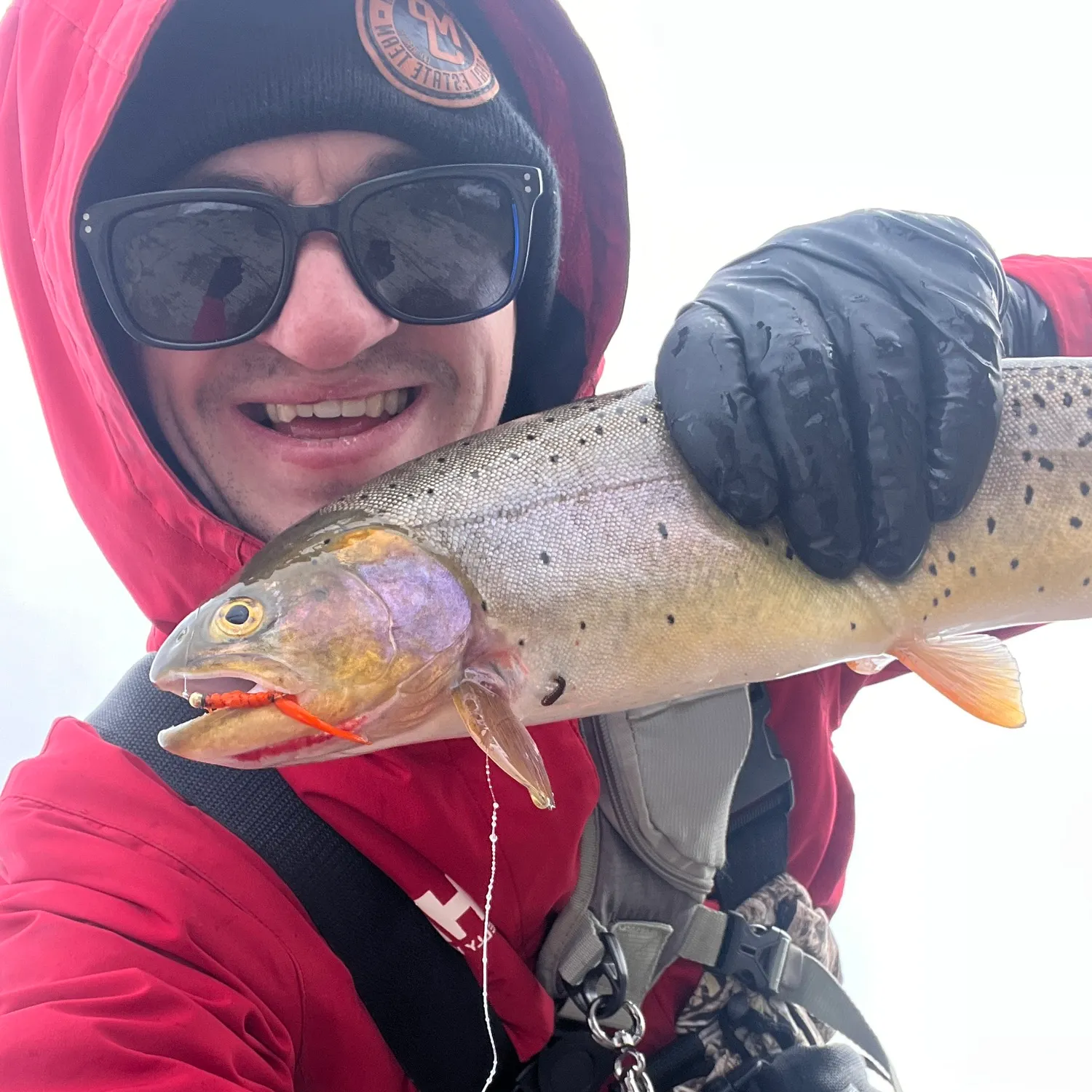 The most recent Yellowstone cutthroat trout catches on Fishbrain