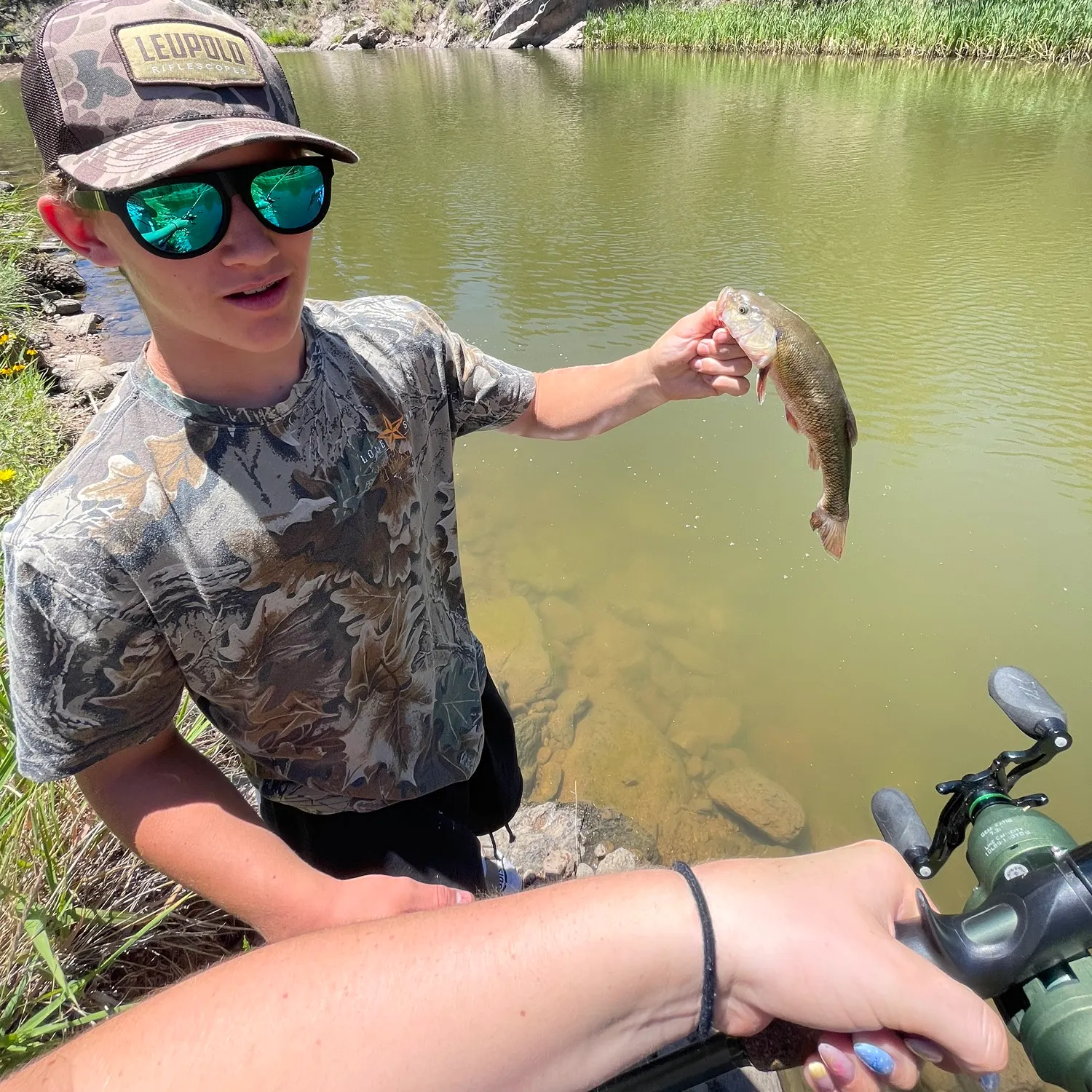 Creek chub caught on Fishbrain