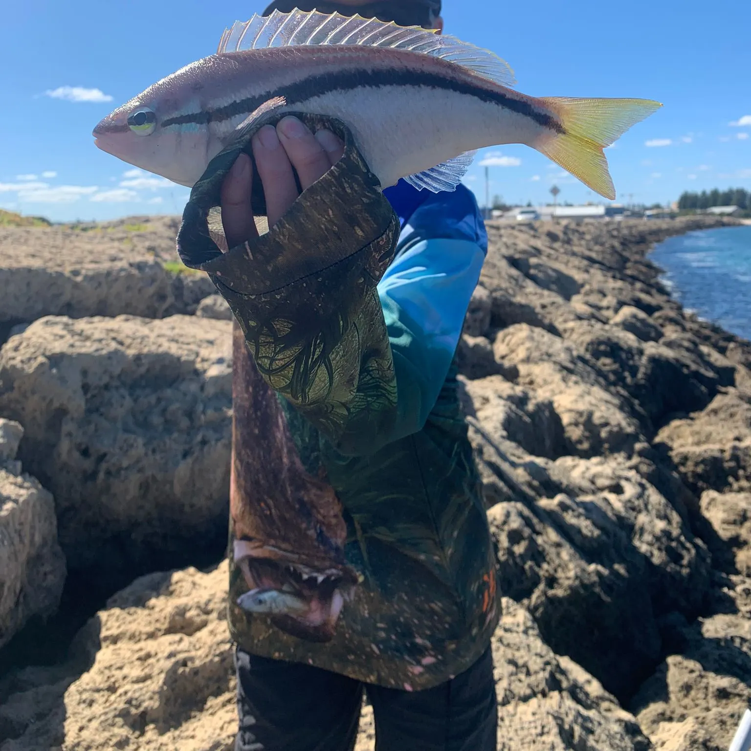 The most recent Striped whiptail catches on Fishbrain