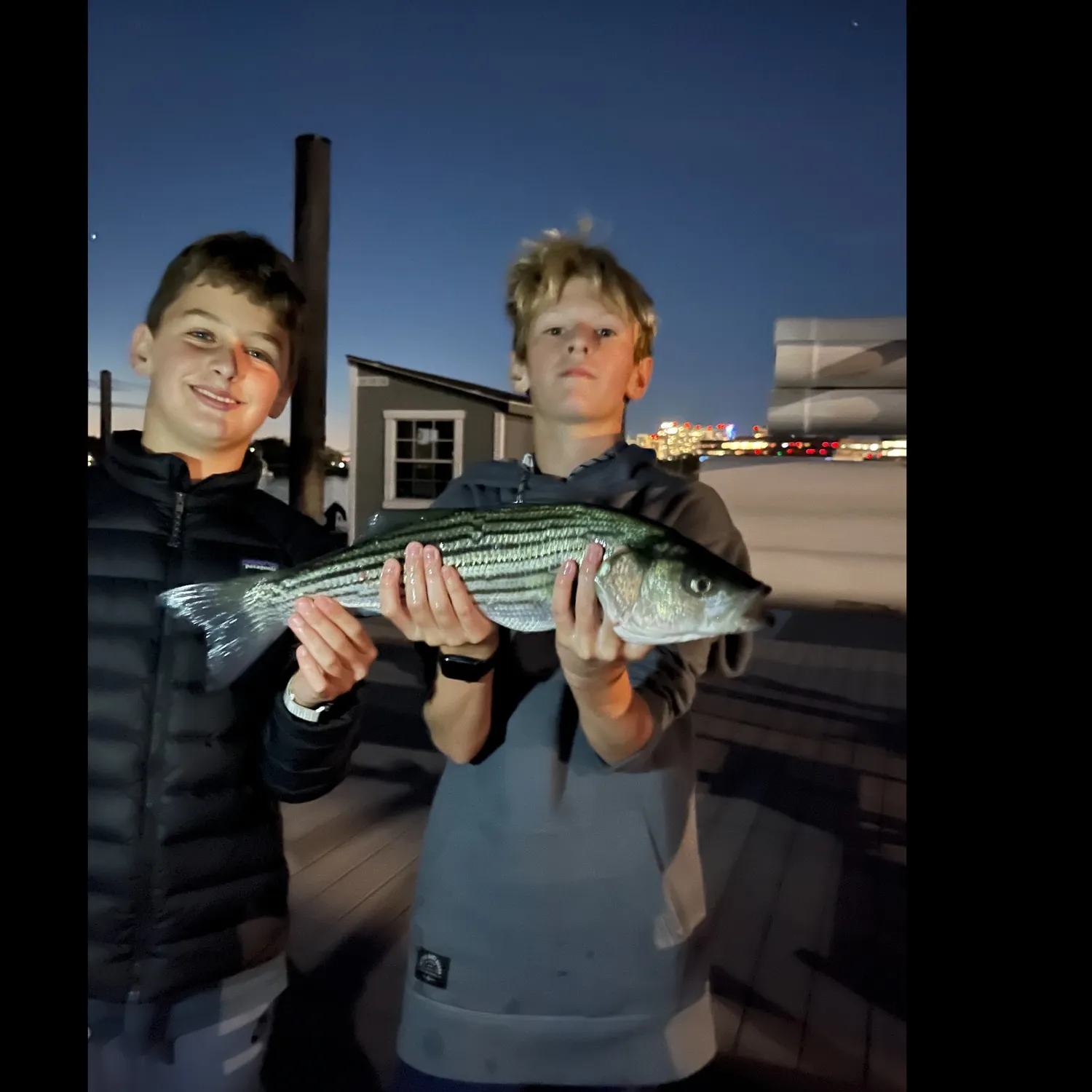 Striped bass caught on Fishbrain