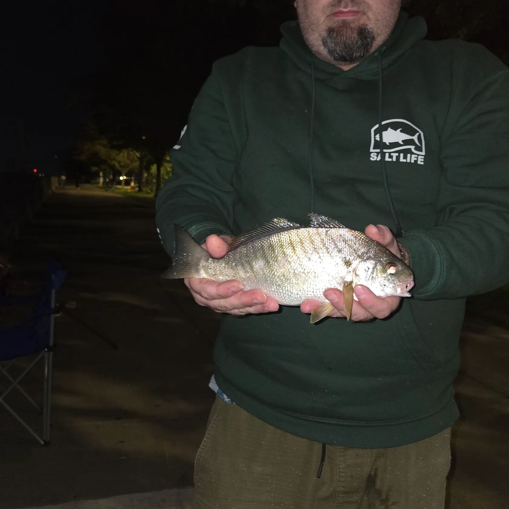 Spot croaker caught on Fishbrain