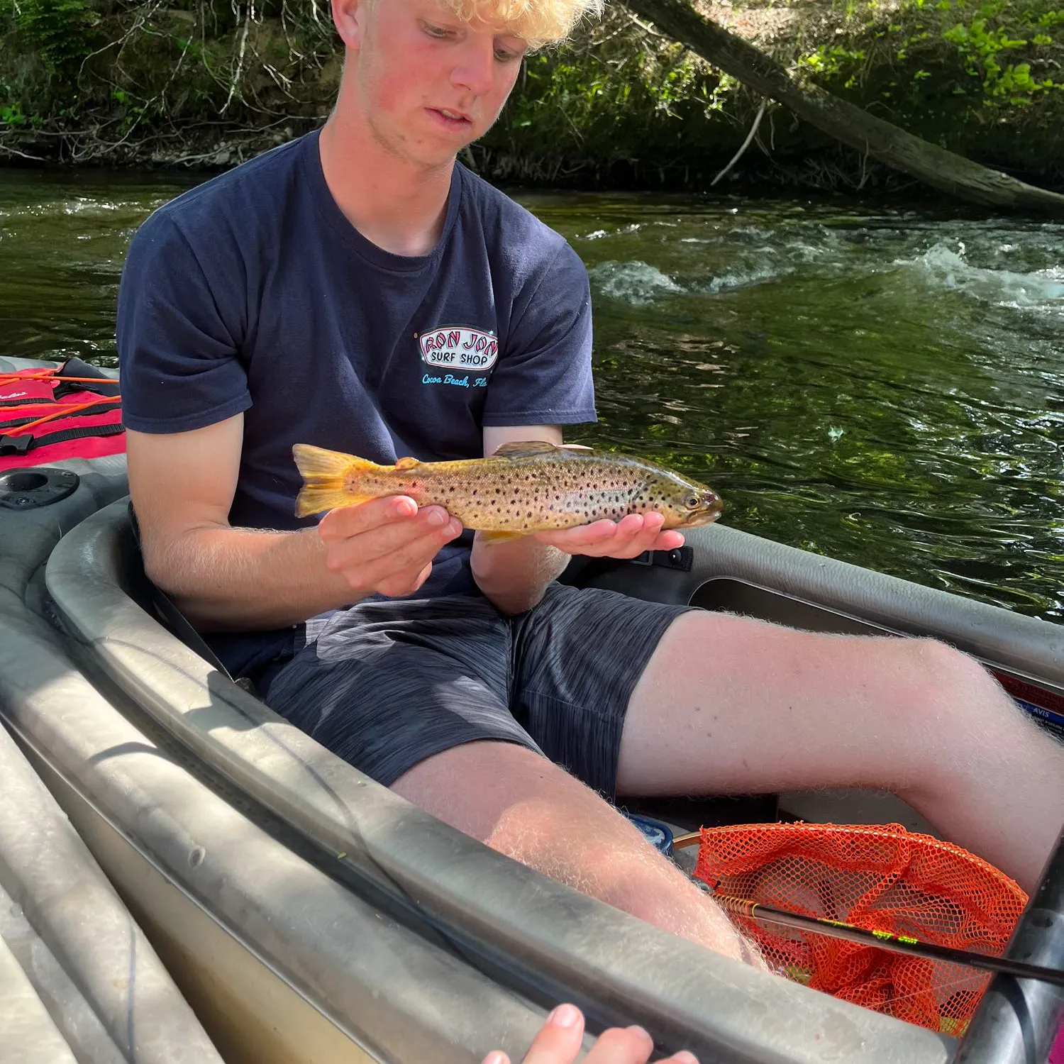 recently logged catches