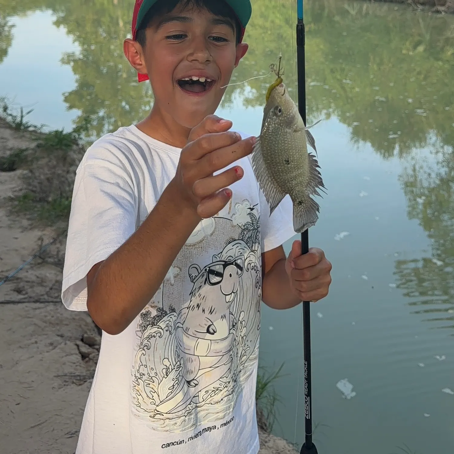 Nile tilapia caught on Fishbrain