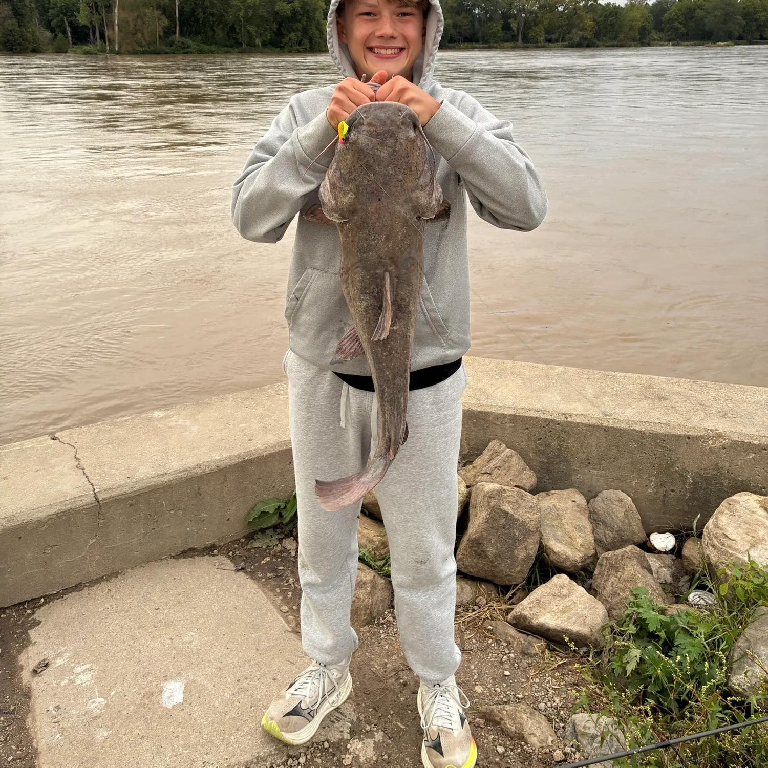 Flathead catfish caught on Fishbrain