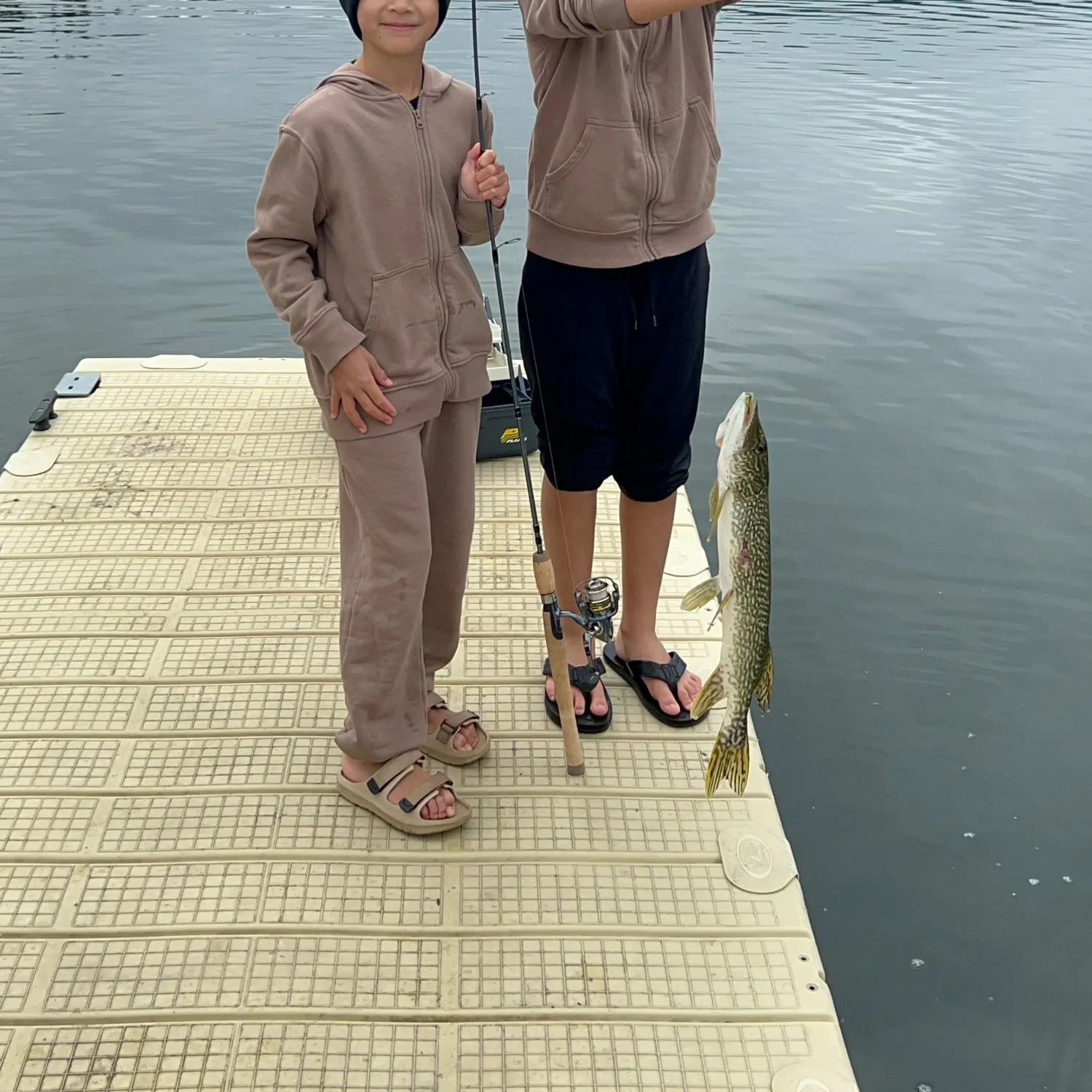 Northern pike caught on Fishbrain