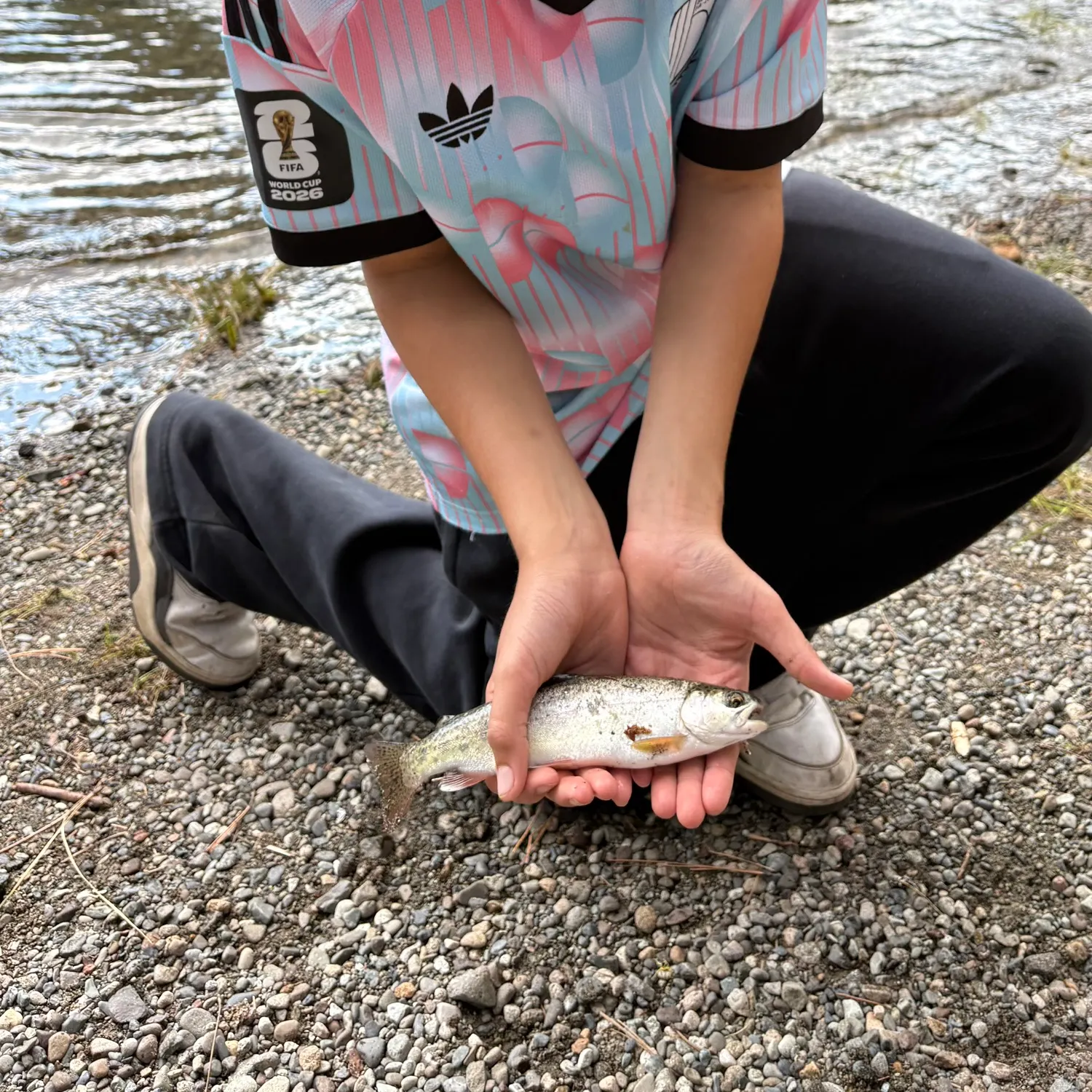 Rainbow trout caught on Fishbrain