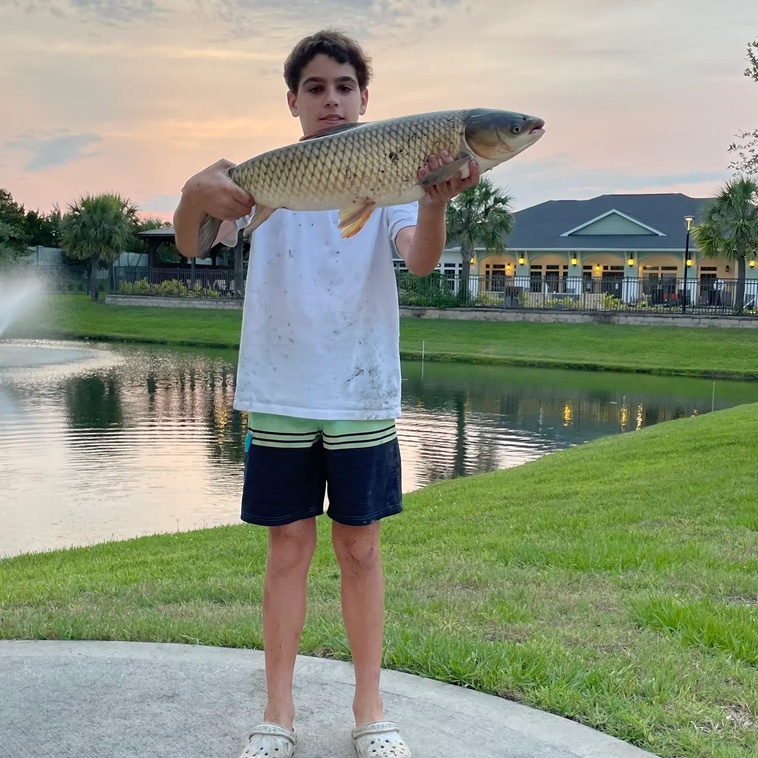 The most recent Grass carp catches on Fishbrain