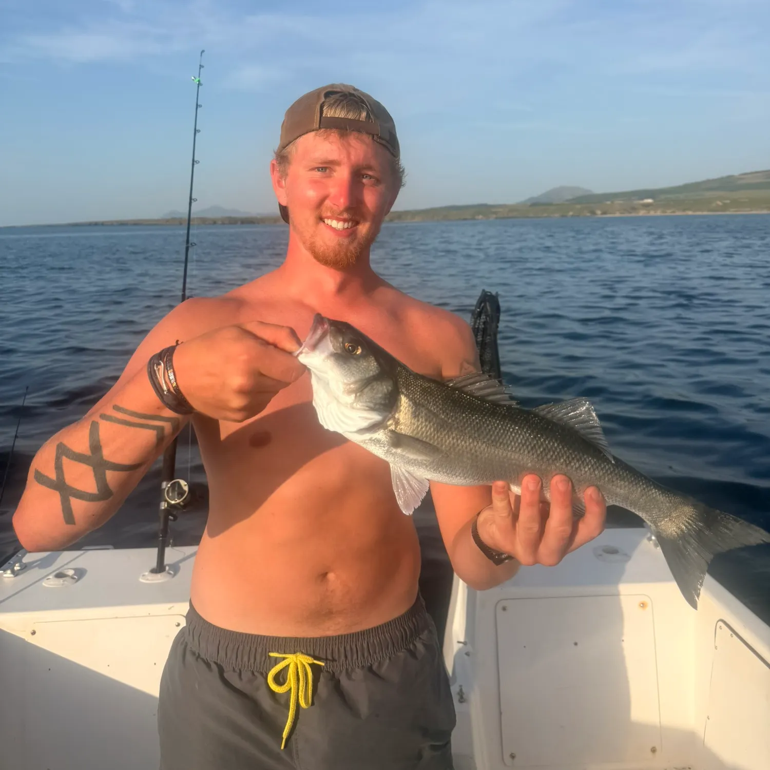 European seabass caught on Fishbrain