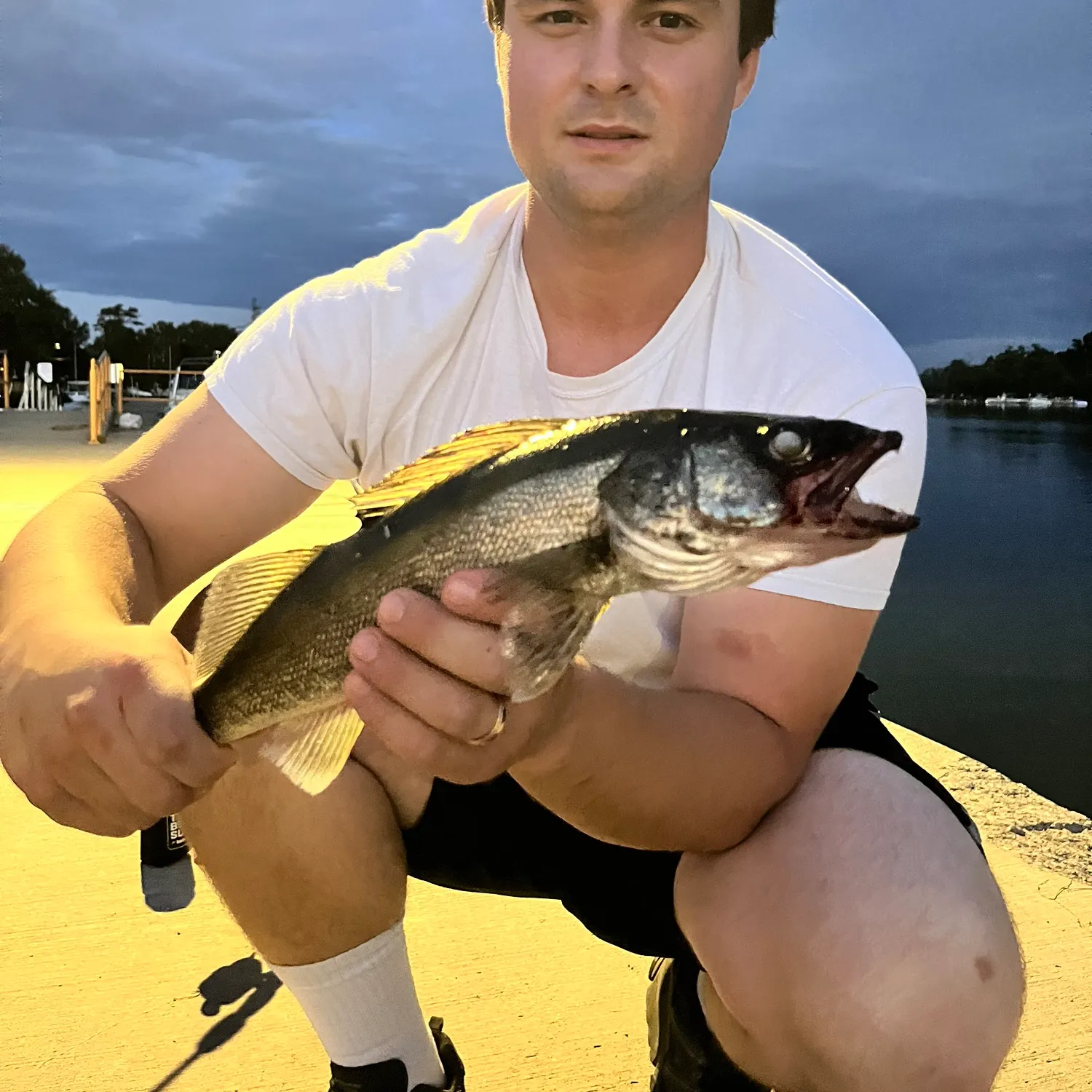 Walleye caught on Fishbrain